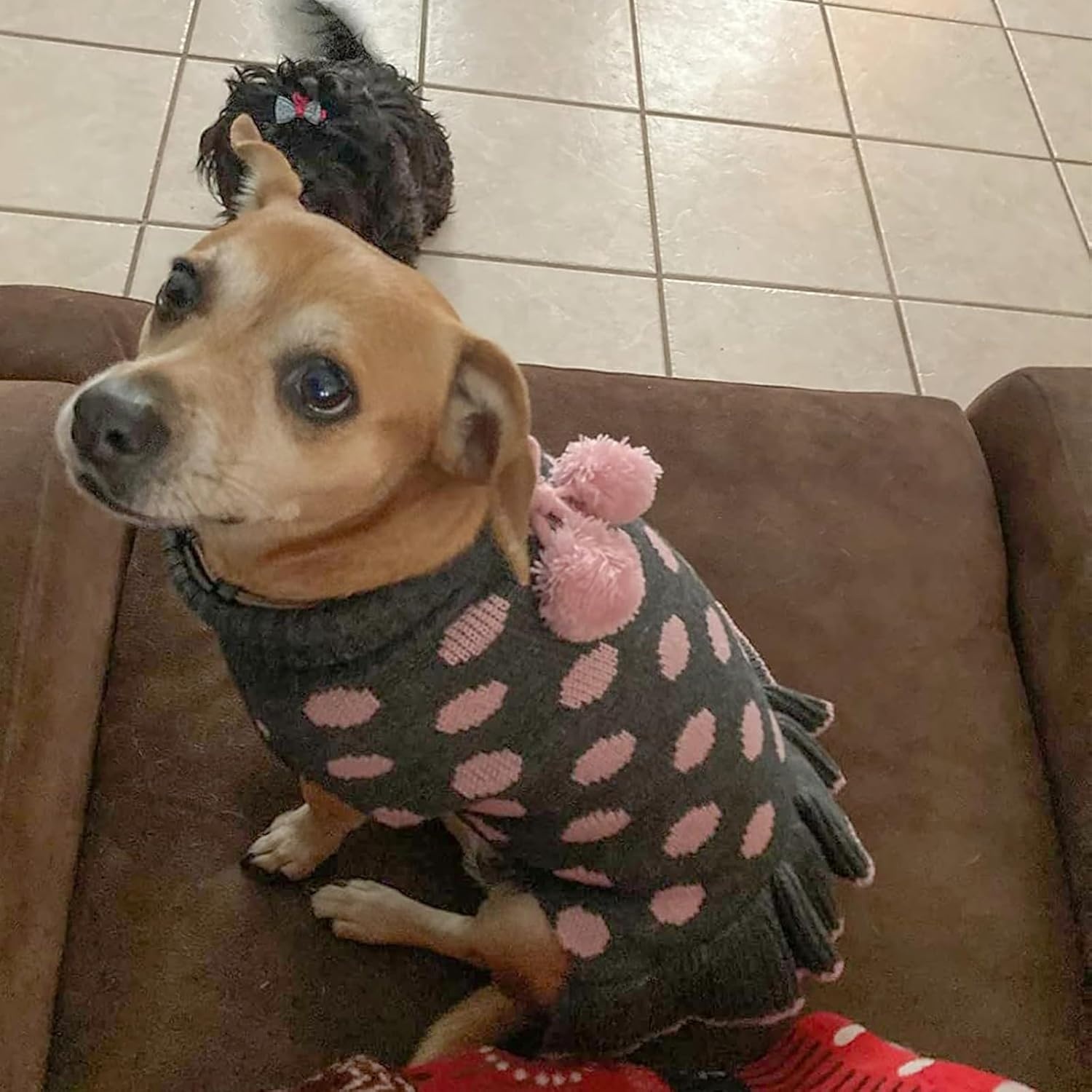 image:imageKYEESE Dog Sweaters with Leash Hole for Small Dogs Turtleneck Dog Sweater Dress for Girl Polka Dot Knit Pullover Doggie Sweater Warm Pet Sweater02 Polkadot Grey