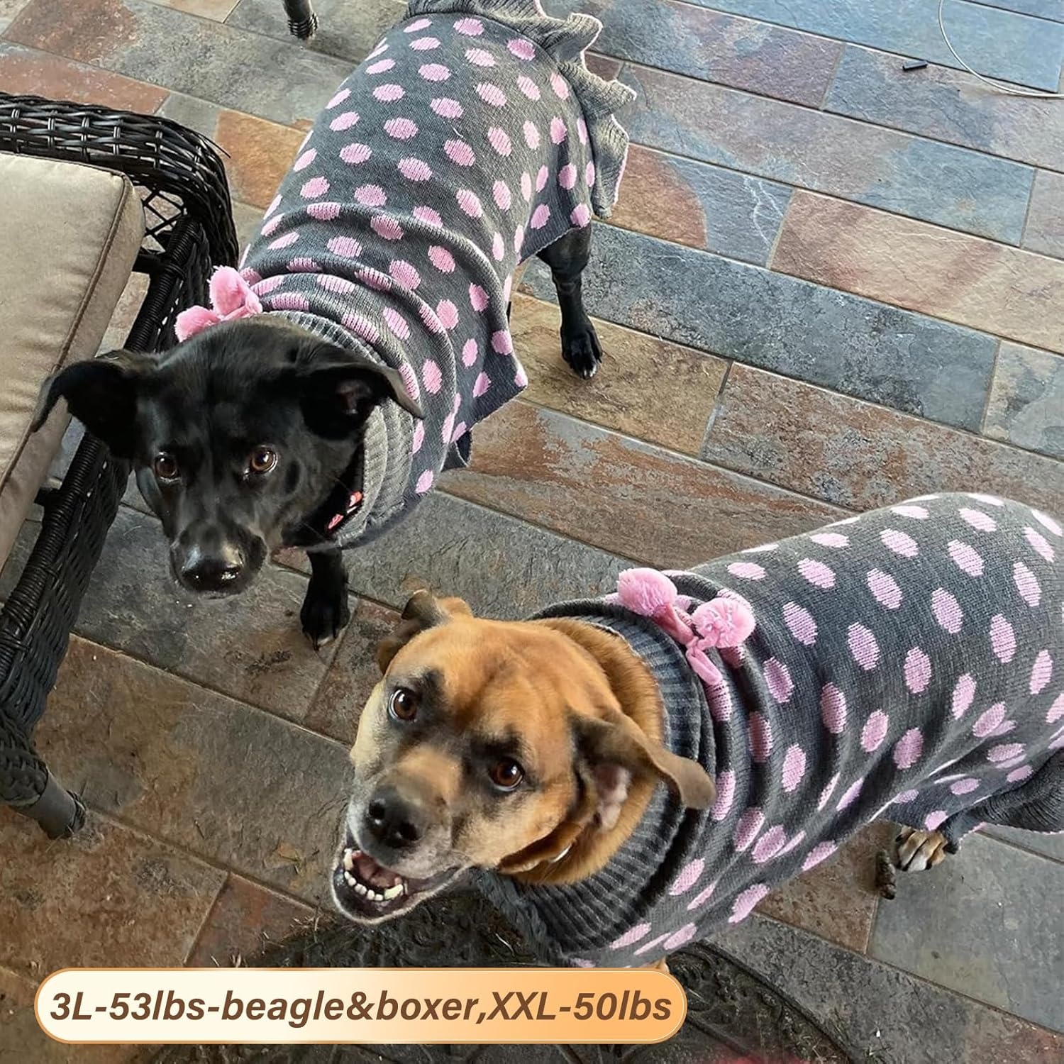 image:imageKYEESE Dog Sweaters with Leash Hole for Small Dogs Turtleneck Dog Sweater Dress for Girl Polka Dot Knit Pullover Doggie Sweater Warm Pet Sweater02 Polkadot Grey