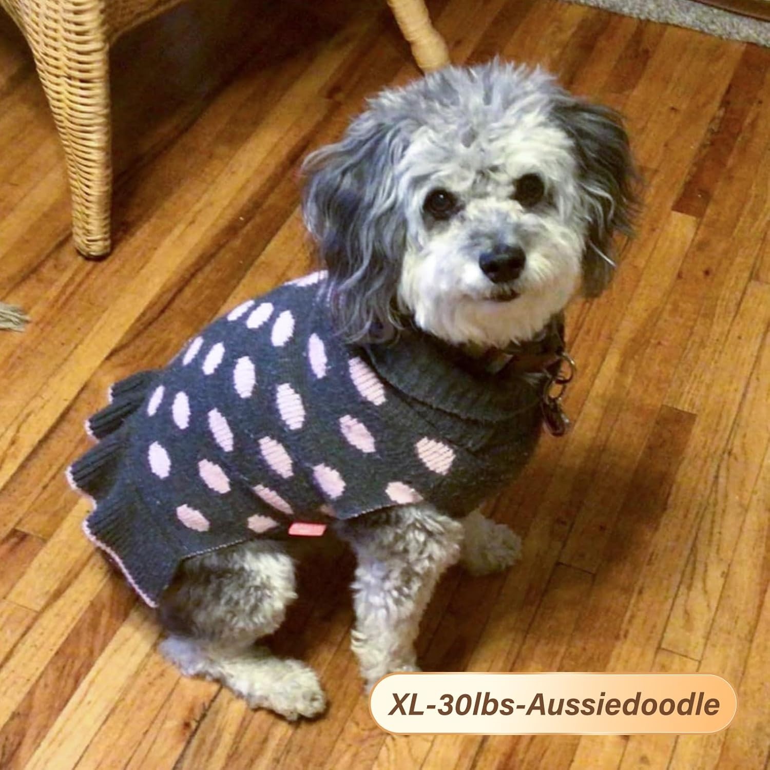 image:imageKYEESE Dog Sweaters with Leash Hole for Small Dogs Turtleneck Dog Sweater Dress for Girl Polka Dot Knit Pullover Doggie Sweater Warm Pet Sweater02 Polkadot Grey