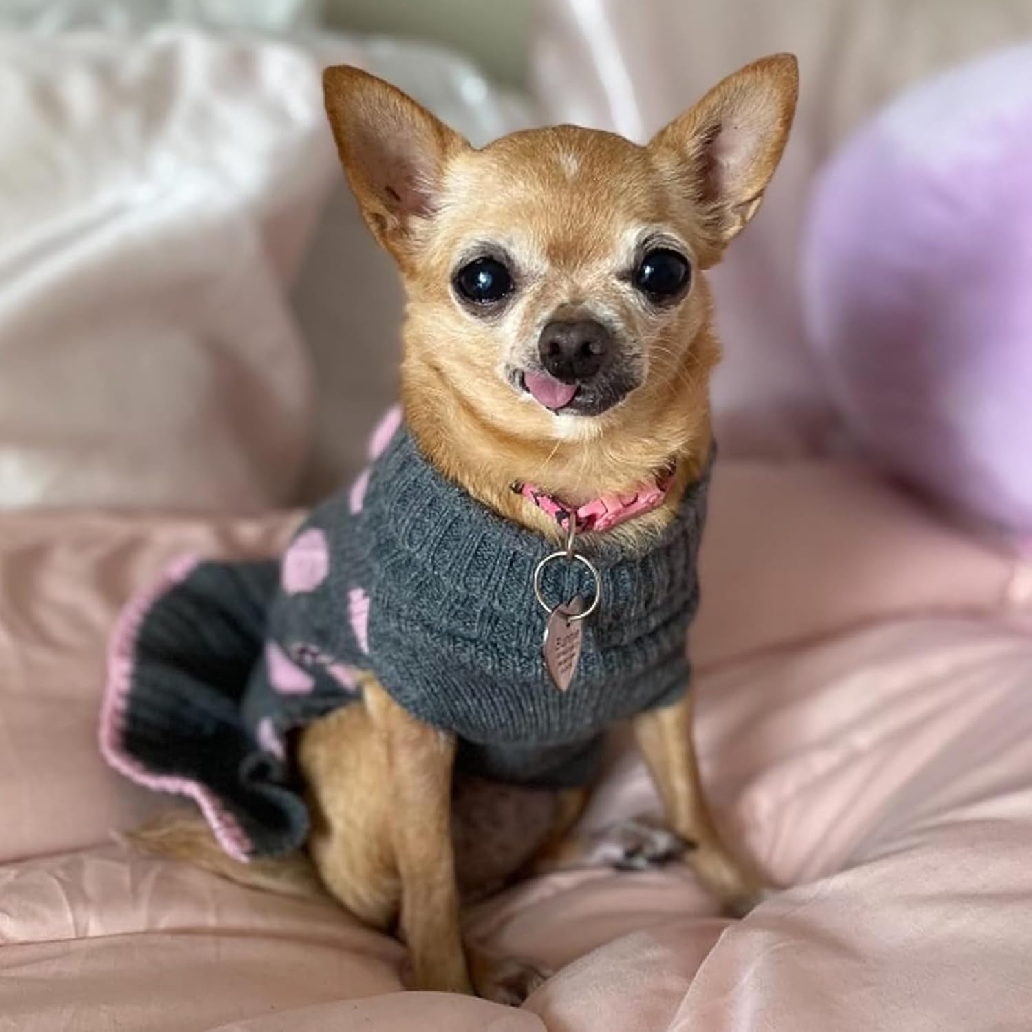 image:imageKYEESE Dog Sweaters with Leash Hole for Small Dogs Turtleneck Dog Sweater Dress for Girl Polka Dot Knit Pullover Doggie Sweater Warm Pet Sweater02 Polkadot Grey