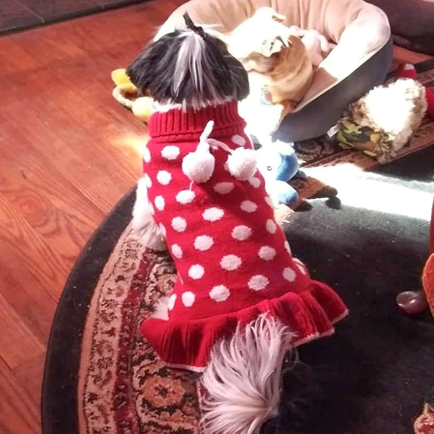 image:imageKYEESE Dog Sweaters with Leash Hole for Small Dogs Turtleneck Dog Sweater Dress for Girl Polka Dot Knit Pullover Doggie Sweater Warm Pet Sweater04 Polkadot Red