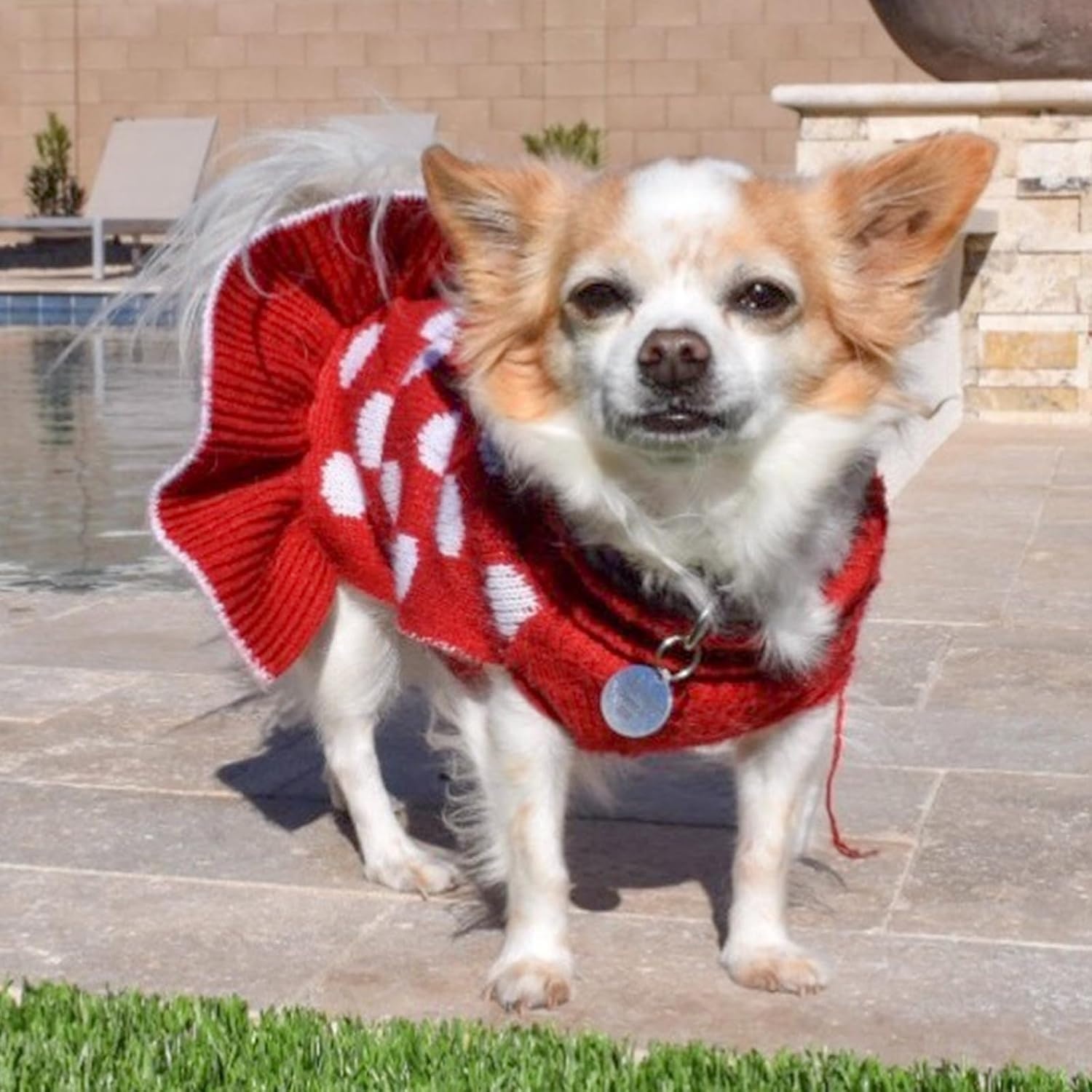 image:imageKYEESE Dog Sweaters with Leash Hole for Small Dogs Turtleneck Dog Sweater Dress for Girl Polka Dot Knit Pullover Doggie Sweater Warm Pet Sweater04 Polkadot Red