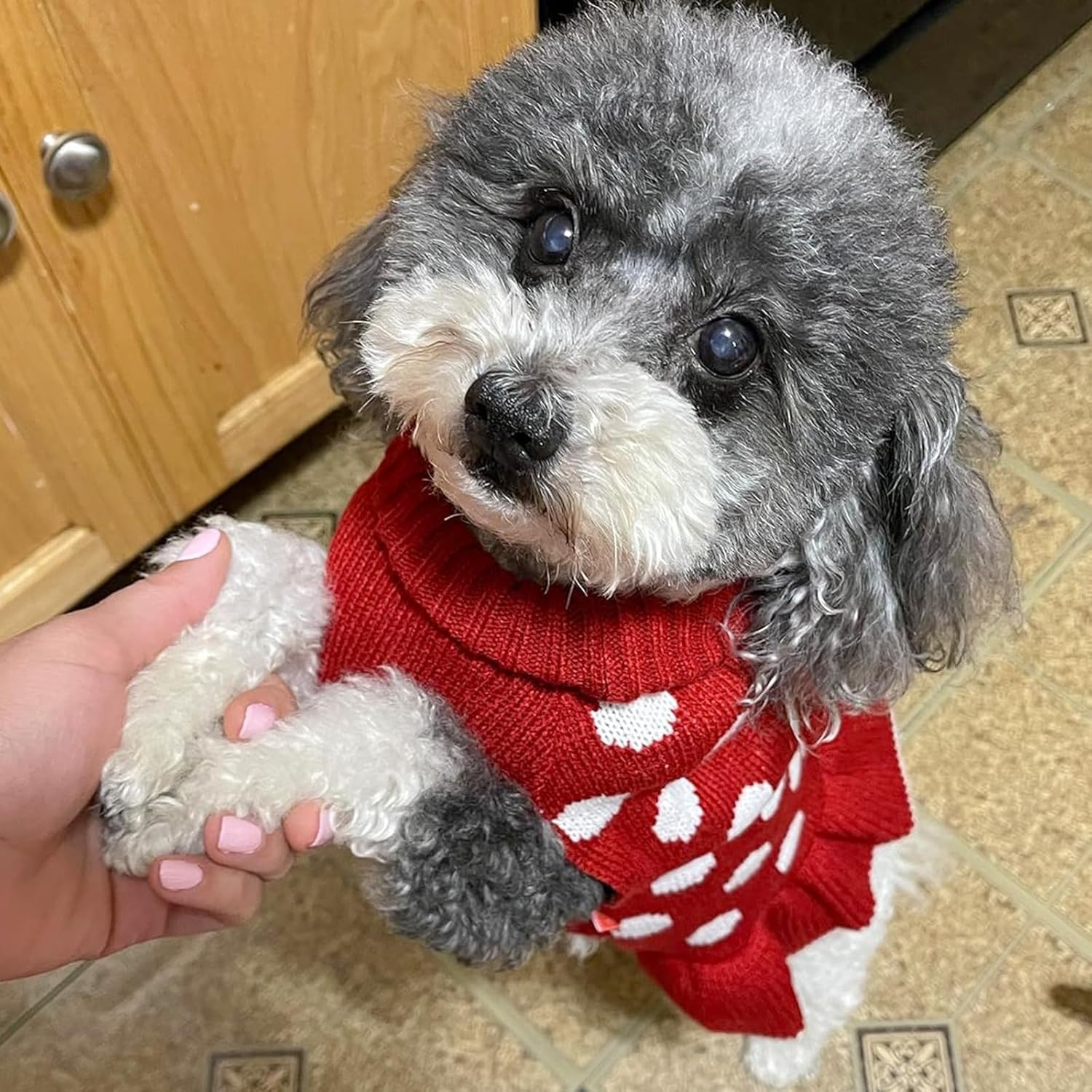 image:imageKYEESE Dog Sweaters with Leash Hole for Small Dogs Turtleneck Dog Sweater Dress for Girl Polka Dot Knit Pullover Doggie Sweater Warm Pet Sweater04 Polkadot Red