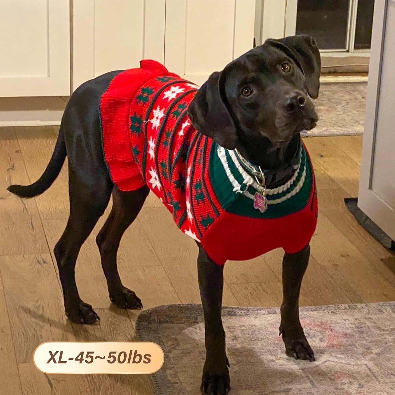 image:imageKYEESE Dog Sweaters with Leash Hole for Small Dogs Turtleneck Dog Sweater Dress for Girl Polka Dot Knit Pullover Doggie Sweater Warm Pet Sweater08 Girl Red