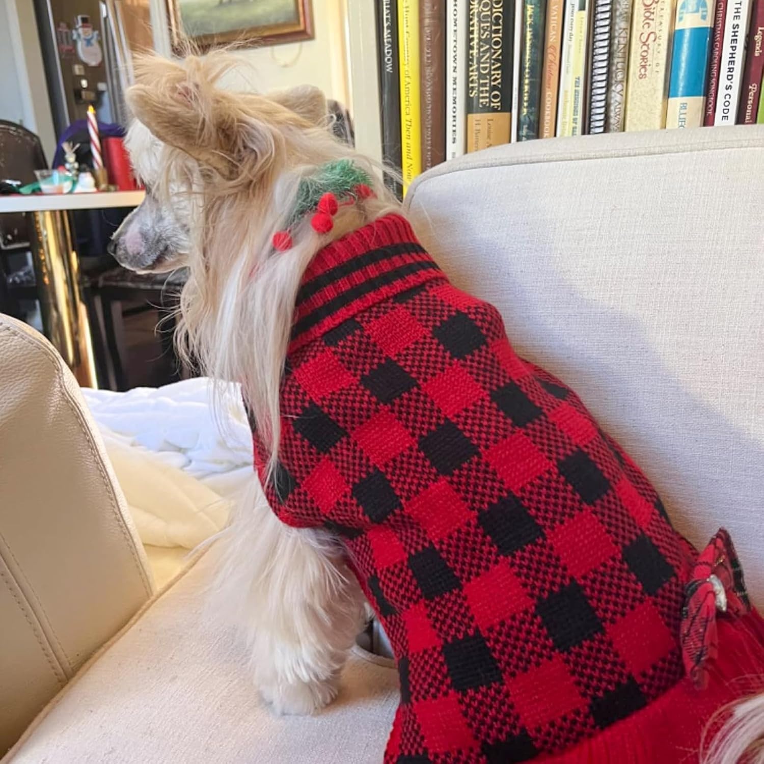 image:imageKYEESE Dog Sweaters with Leash Hole for Small Dogs Turtleneck Dog Sweater Dress for Girl Polka Dot Knit Pullover Doggie Sweater Warm Pet Sweater09Red Plaid