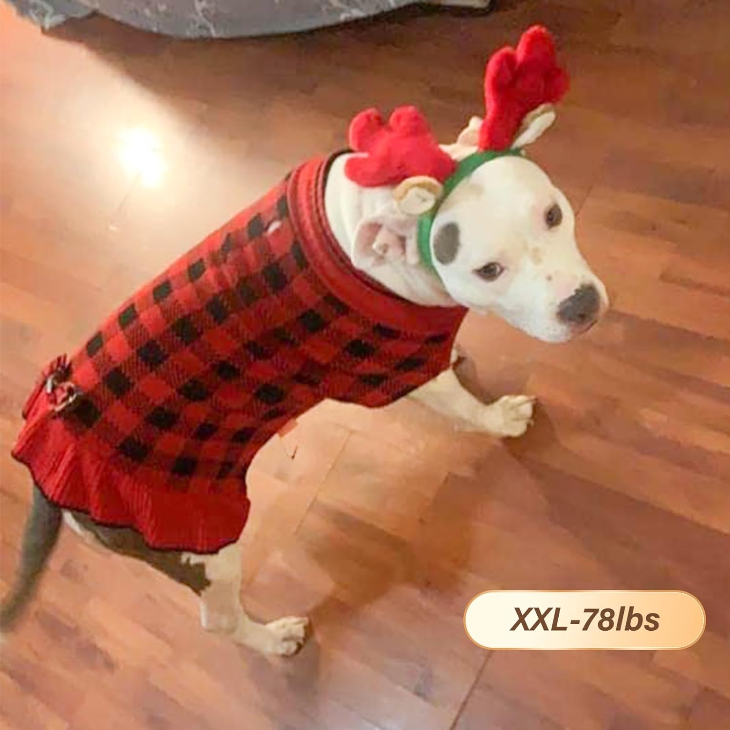 image:imageKYEESE Dog Sweaters with Leash Hole for Small Dogs Turtleneck Dog Sweater Dress for Girl Polka Dot Knit Pullover Doggie Sweater Warm Pet Sweater09Red Plaid