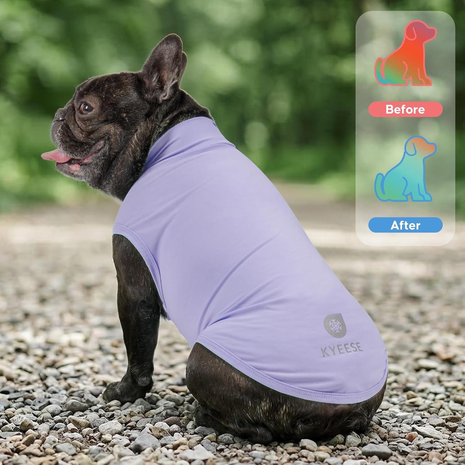 image:imageKYEESE 2Pack Dog Cooling Shirt Breathable Dog Shirt for Small Dogs Boy Sun Protection Reflective Pet Vest Lightweight Soft Tank Top Sleeveless Summer Dogs Clothes Blue LPurple