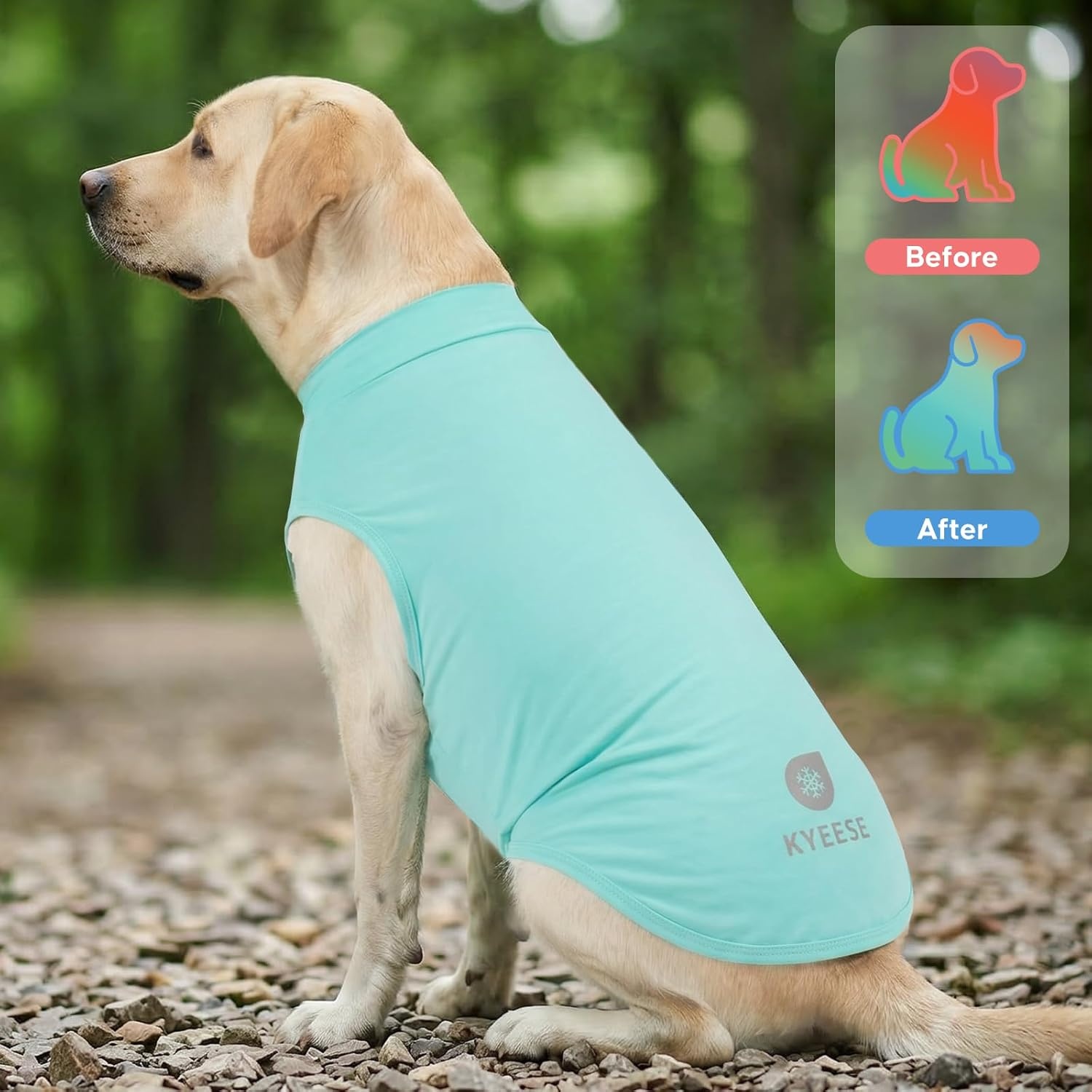 image:imageKYEESE 2Pack Dog Cooling Shirt Breathable Dog Shirt for Small Dogs Boy Sun Protection Reflective Pet Vest Lightweight Soft Tank Top Sleeveless Summer Dogs Clothes Blue LBlue