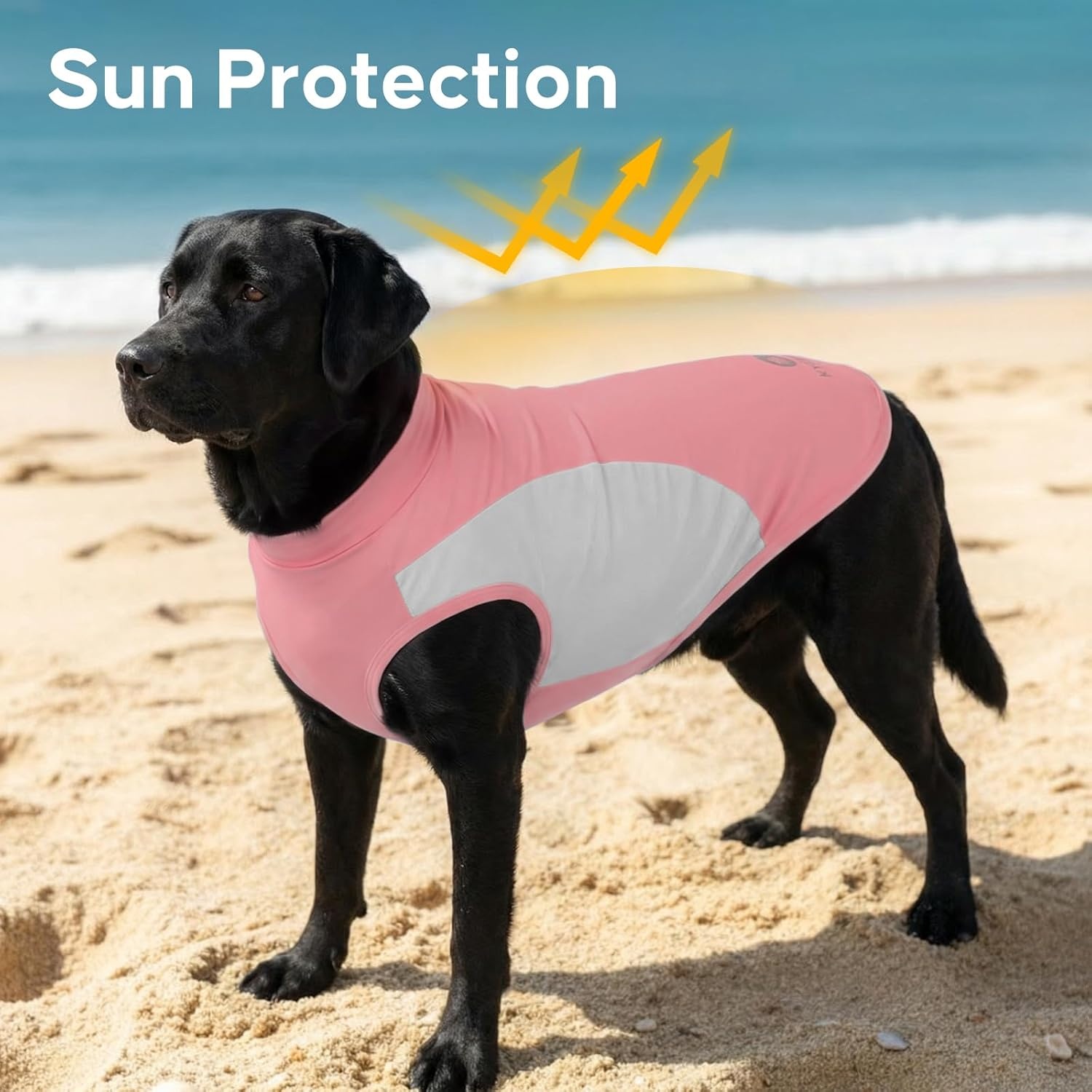 image:imageKYEESE 2Pack Dog Cooling Shirt Breathable Dog Shirt for Small Dogs Boy Sun Protection Reflective Pet Vest Lightweight Soft Tank Top Sleeveless Summer Dogs Clothes Blue LPink