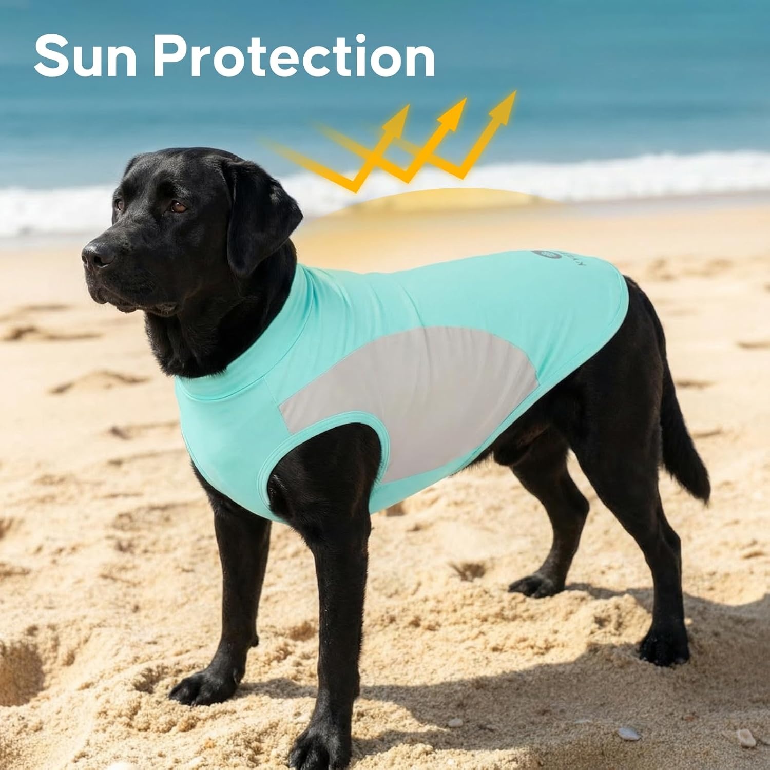 image:imageKYEESE 2Pack Dog Cooling Shirt Breathable Dog Shirt for Small Dogs Boy Sun Protection Reflective Pet Vest Lightweight Soft Tank Top Sleeveless Summer Dogs Clothes Blue LBlue