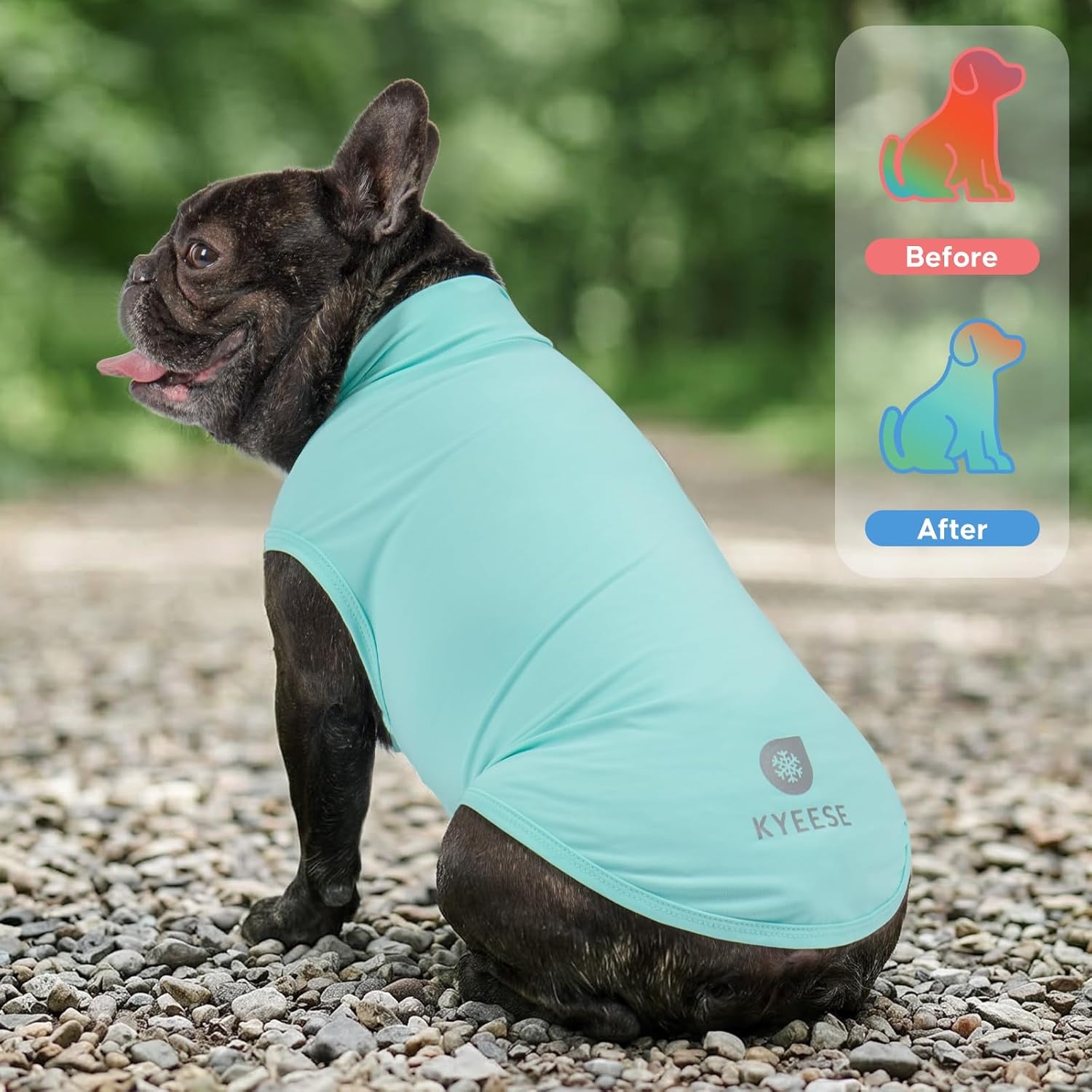 image:imageKYEESE 2Pack Dog Cooling Shirt Breathable Dog Shirt for Small Dogs Boy Sun Protection Reflective Pet Vest Lightweight Soft Tank Top Sleeveless Summer Dogs Clothes Blue LBlue