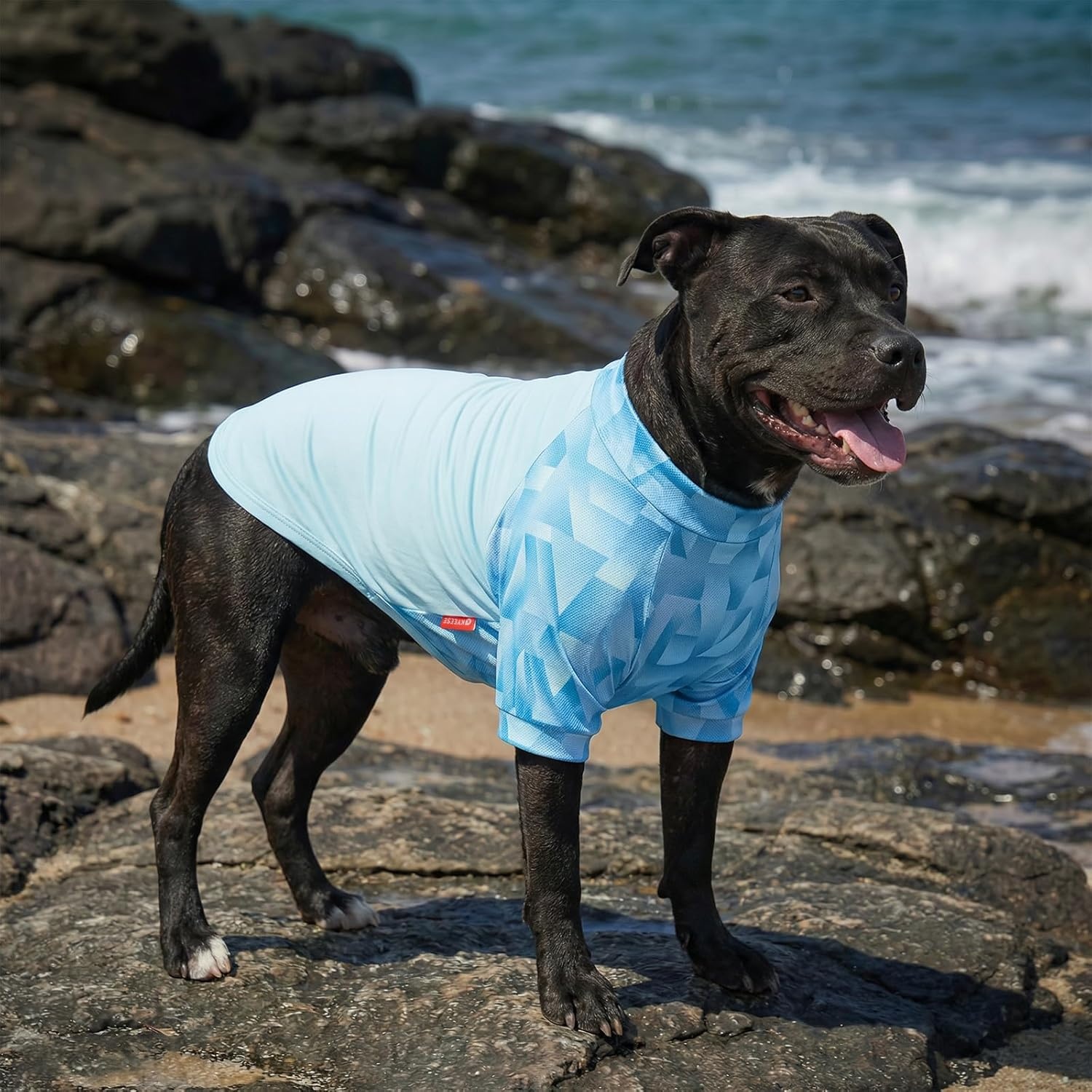 image:imageKYEESE 2Pack UV Protection Dog Shirt UPF 50 Cooling Dog T Shirts for Small Dogs Boy Breathable Reflective Dogs Sun Shirts with Sleeves Summer Pet Clothes Blue LBlue