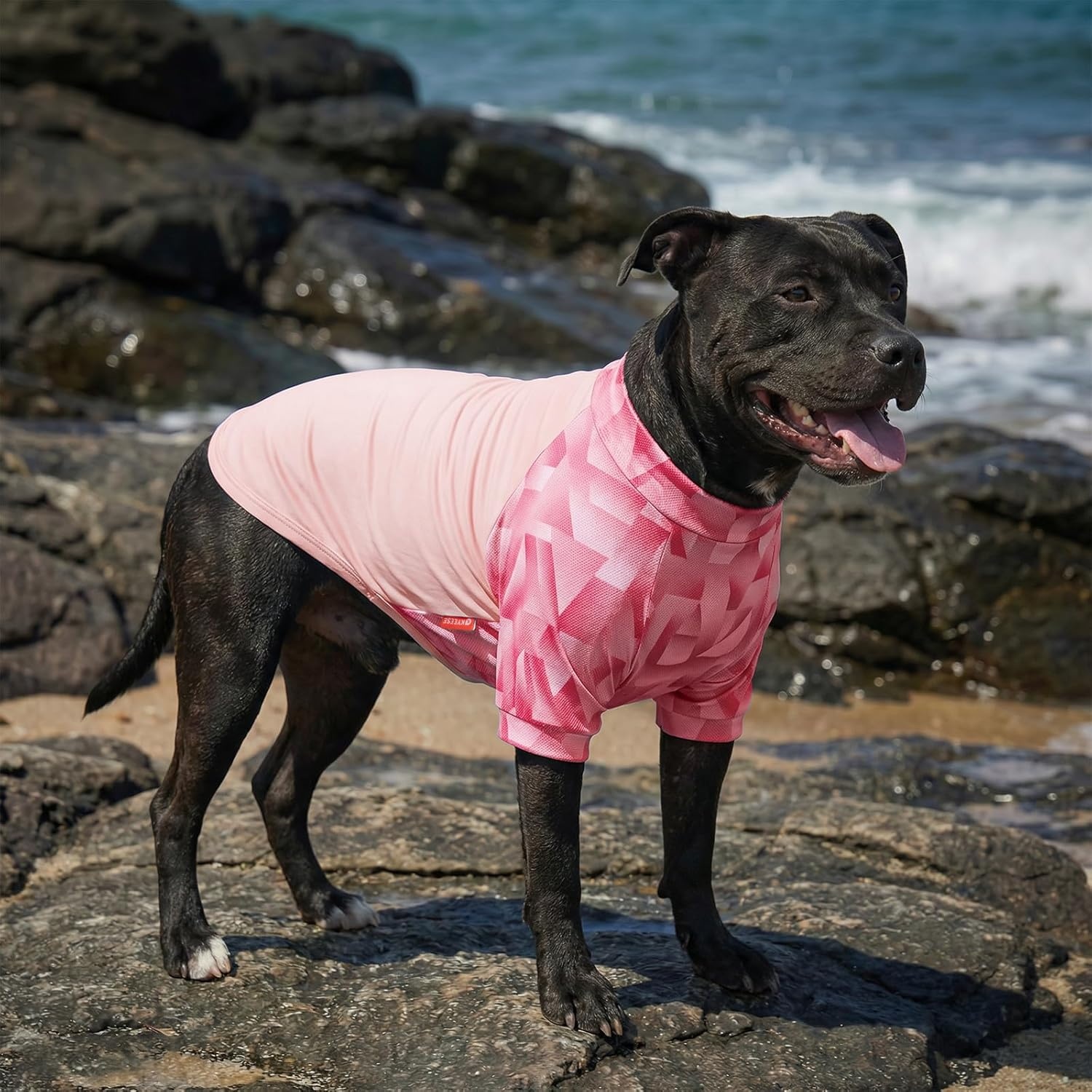 image:imageKYEESE 2Pack UV Protection Dog Shirt UPF 50 Cooling Dog T Shirts for Small Dogs Boy Breathable Reflective Dogs Sun Shirts with Sleeves Summer Pet Clothes Blue LPink