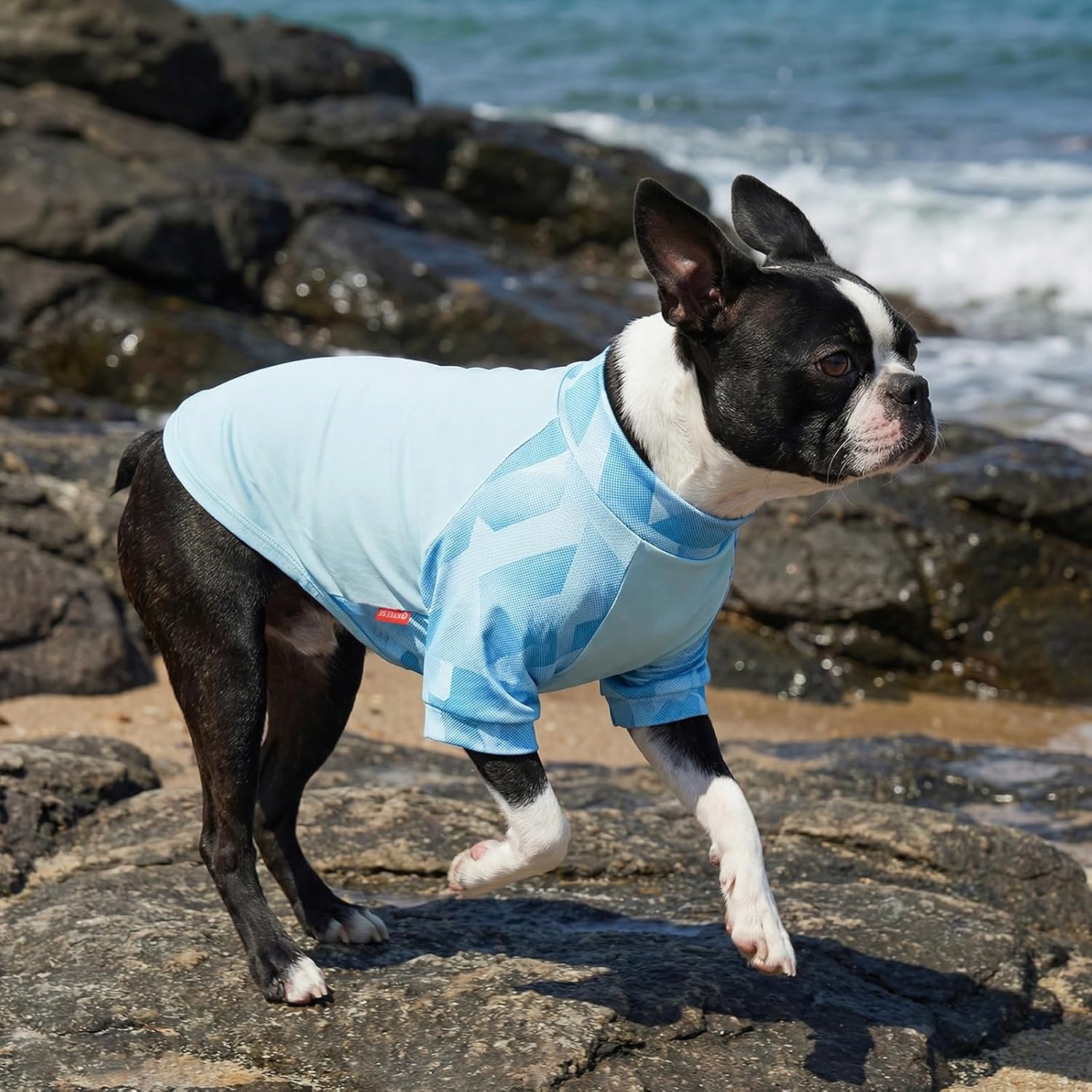 image:imageKYEESE 2Pack UV Protection Dog Shirt UPF 50 Cooling Dog T Shirts for Small Dogs Boy Breathable Reflective Dogs Sun Shirts with Sleeves Summer Pet Clothes Blue LBlue