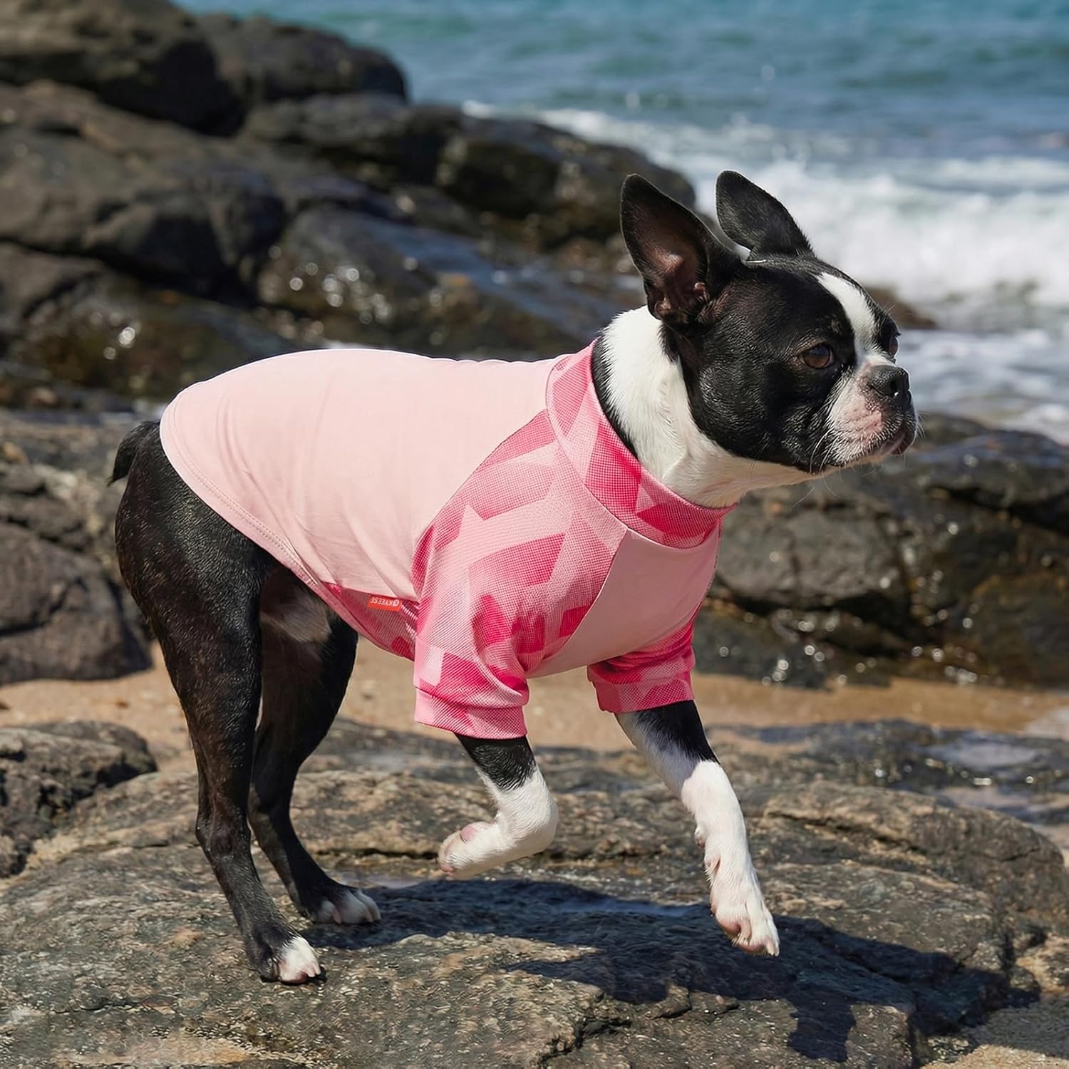 image:imageKYEESE 2Pack UV Protection Dog Shirt UPF 50 Cooling Dog T Shirts for Small Dogs Boy Breathable Reflective Dogs Sun Shirts with Sleeves Summer Pet Clothes Blue LPink