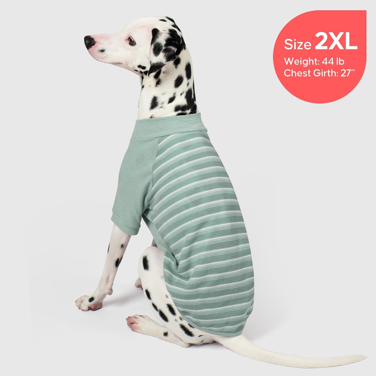 image:imageKYEESE 2Pack Waffle Dog Shirt with Sleeves Lightweight Dog T Shirts for Small Dogs Boy Girl Breathable Pet Tee Shirts Soft Dogs Clothes for Daily Wear GreenStriped M02 GreenStriped