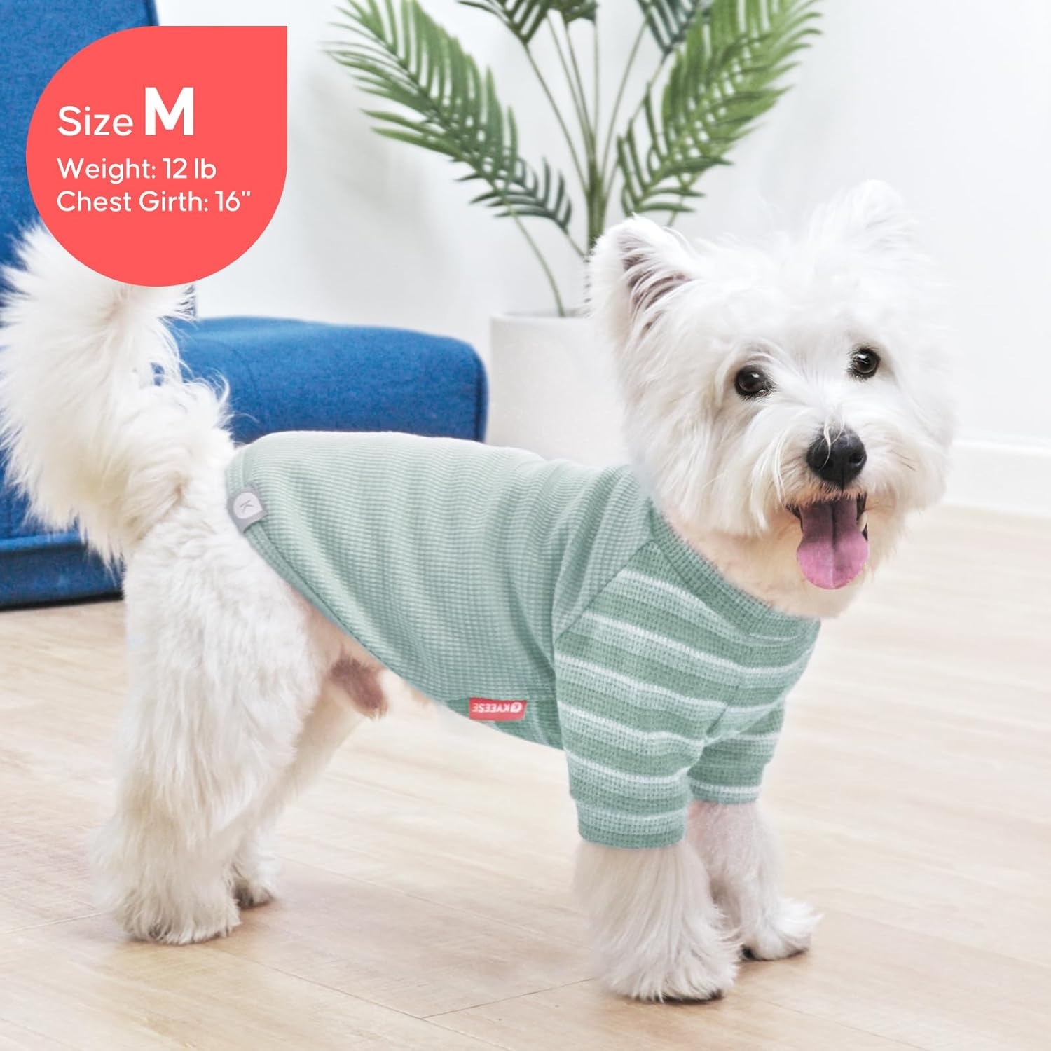 image:imageKYEESE 2Pack Waffle Dog Shirt with Sleeves Lightweight Dog T Shirts for Small Dogs Boy Girl Breathable Pet Tee Shirts Soft Dogs Clothes for Daily Wear GreenStriped M02 GreenStriped