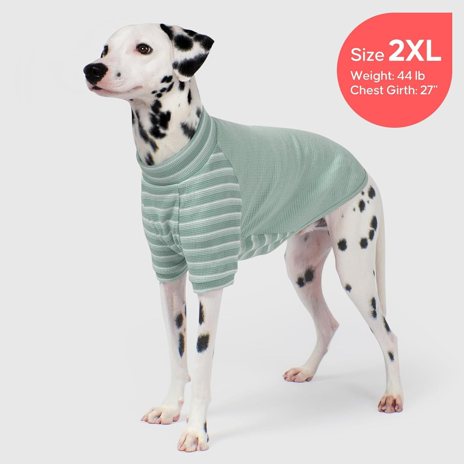 image:imageKYEESE 2Pack Waffle Dog Shirt with Sleeves Lightweight Dog T Shirts for Small Dogs Boy Girl Breathable Pet Tee Shirts Soft Dogs Clothes for Daily Wear GreenStriped M02 GreenStriped