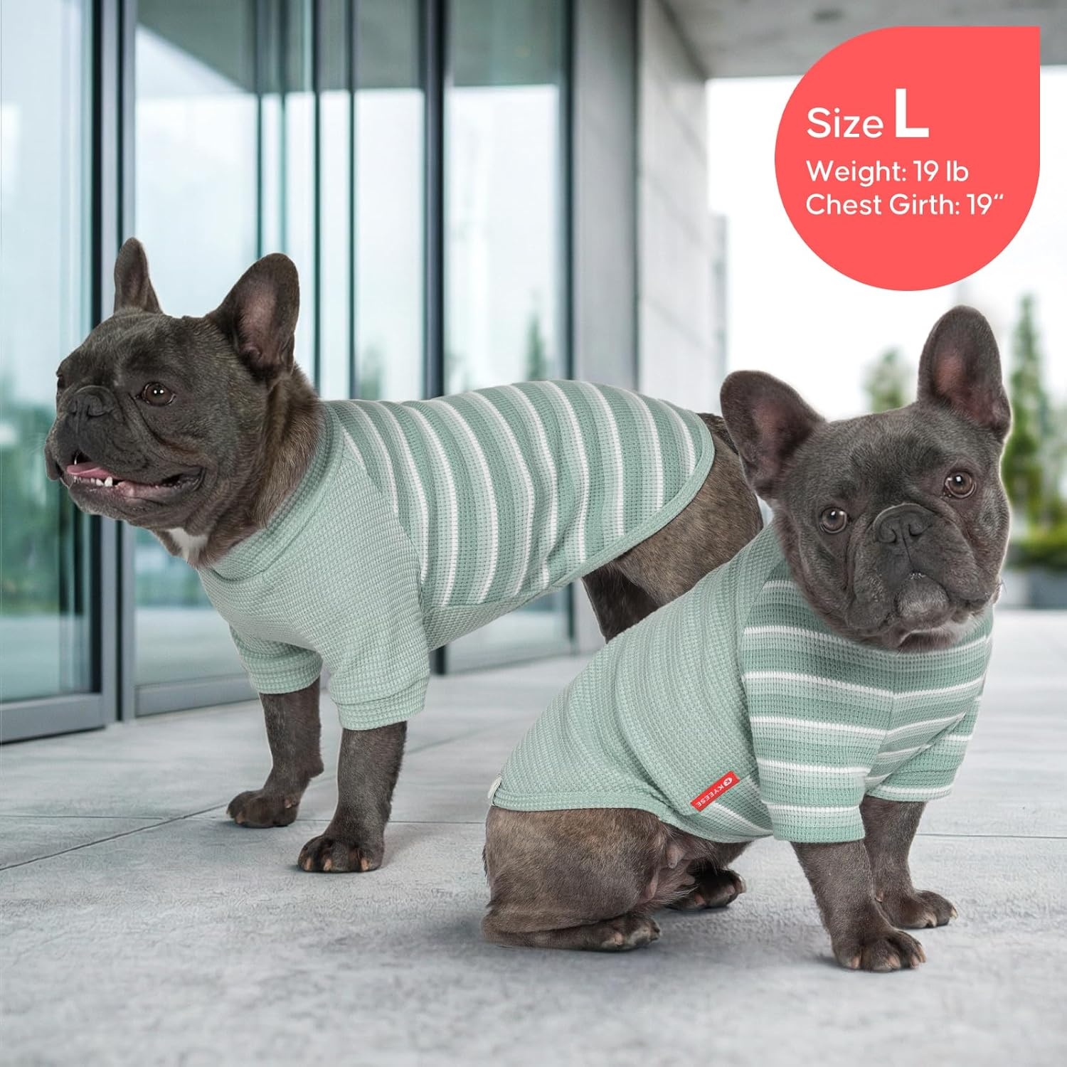 image:imageKYEESE 2Pack Waffle Dog Shirt with Sleeves Lightweight Dog T Shirts for Small Dogs Boy Girl Breathable Pet Tee Shirts Soft Dogs Clothes for Daily Wear GreenStriped M02 GreenStriped
