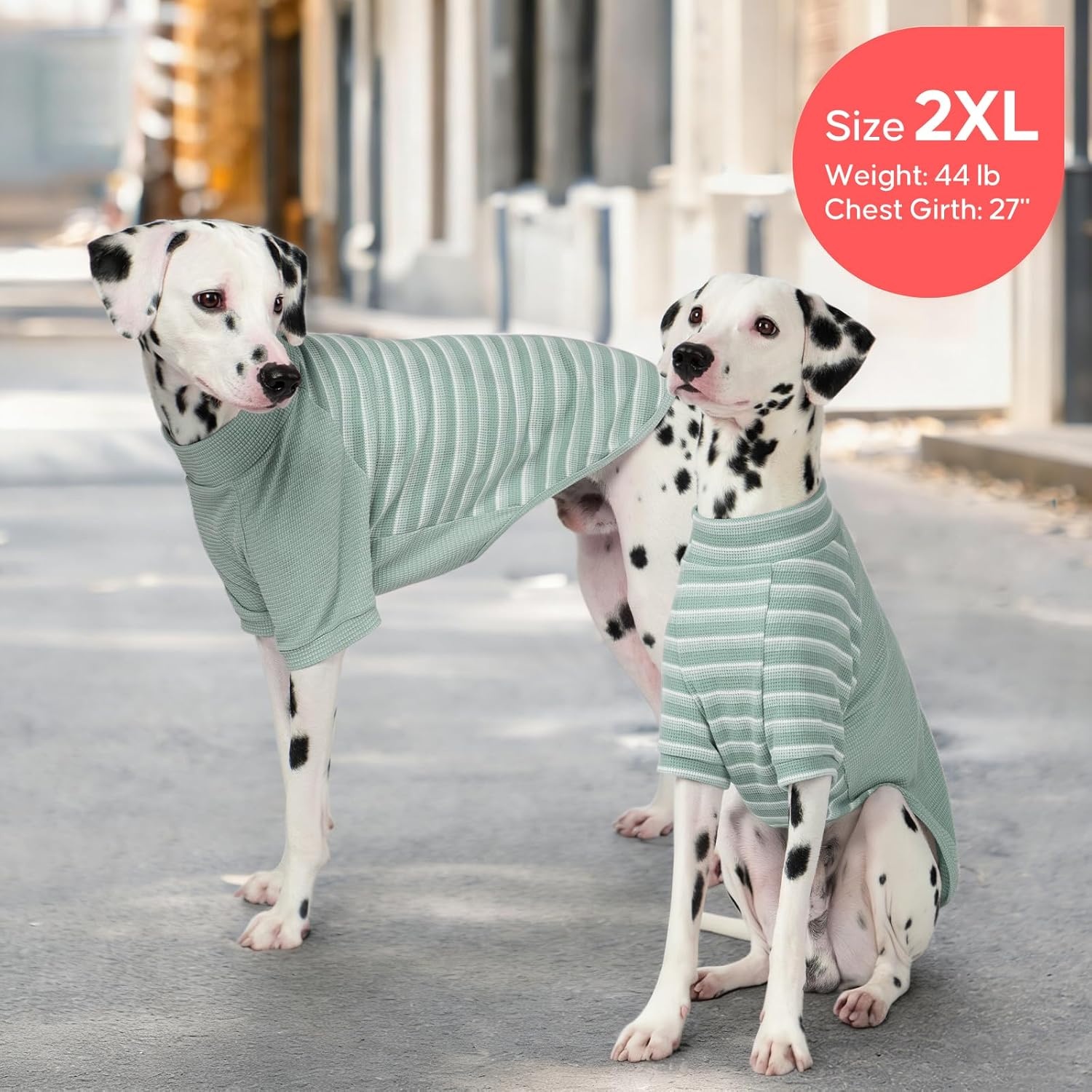 image:imageKYEESE 2Pack Waffle Dog Shirt with Sleeves Lightweight Dog T Shirts for Small Dogs Boy Girl Breathable Pet Tee Shirts Soft Dogs Clothes for Daily Wear GreenStriped M02 GreenStriped