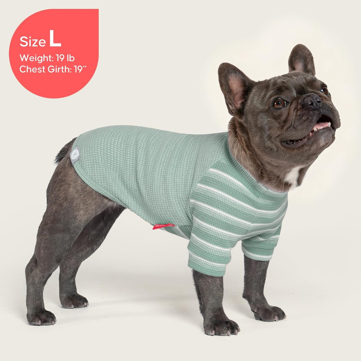 image:imageKYEESE 2Pack Waffle Dog Shirt with Sleeves Lightweight Dog T Shirts for Small Dogs Boy Girl Breathable Pet Tee Shirts Soft Dogs Clothes for Daily Wear GreenStriped M02 GreenStriped