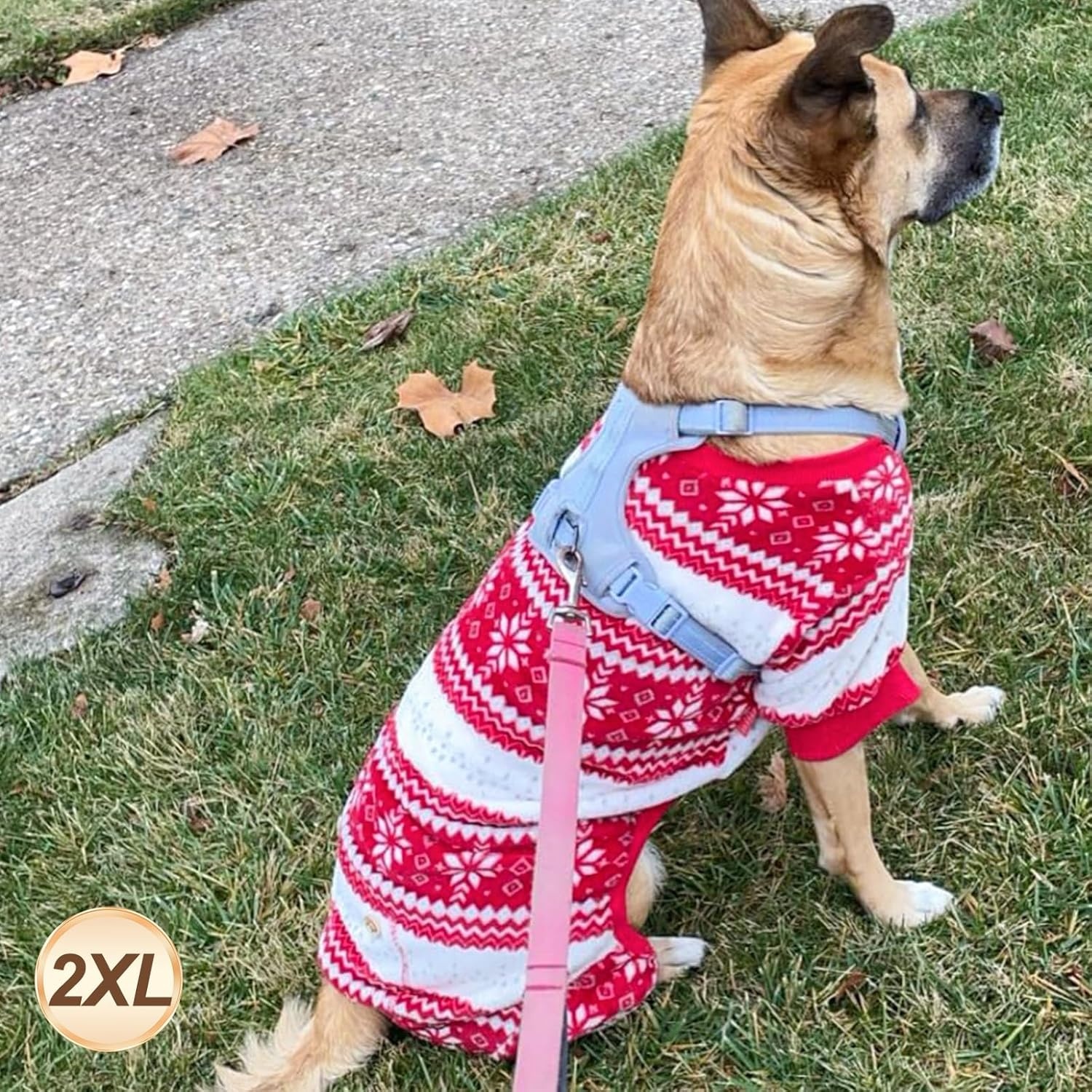 image:imageKYEESE Dog Christmas Pajamas Soft Fleece Holiday Dog Pajamas for Small Dogs Warm Winter Pet Onesie with Snowflake Pattern Lightweight Cozy Doggie Jumpsuit Pet Jumpsuit Large01 Snowflake