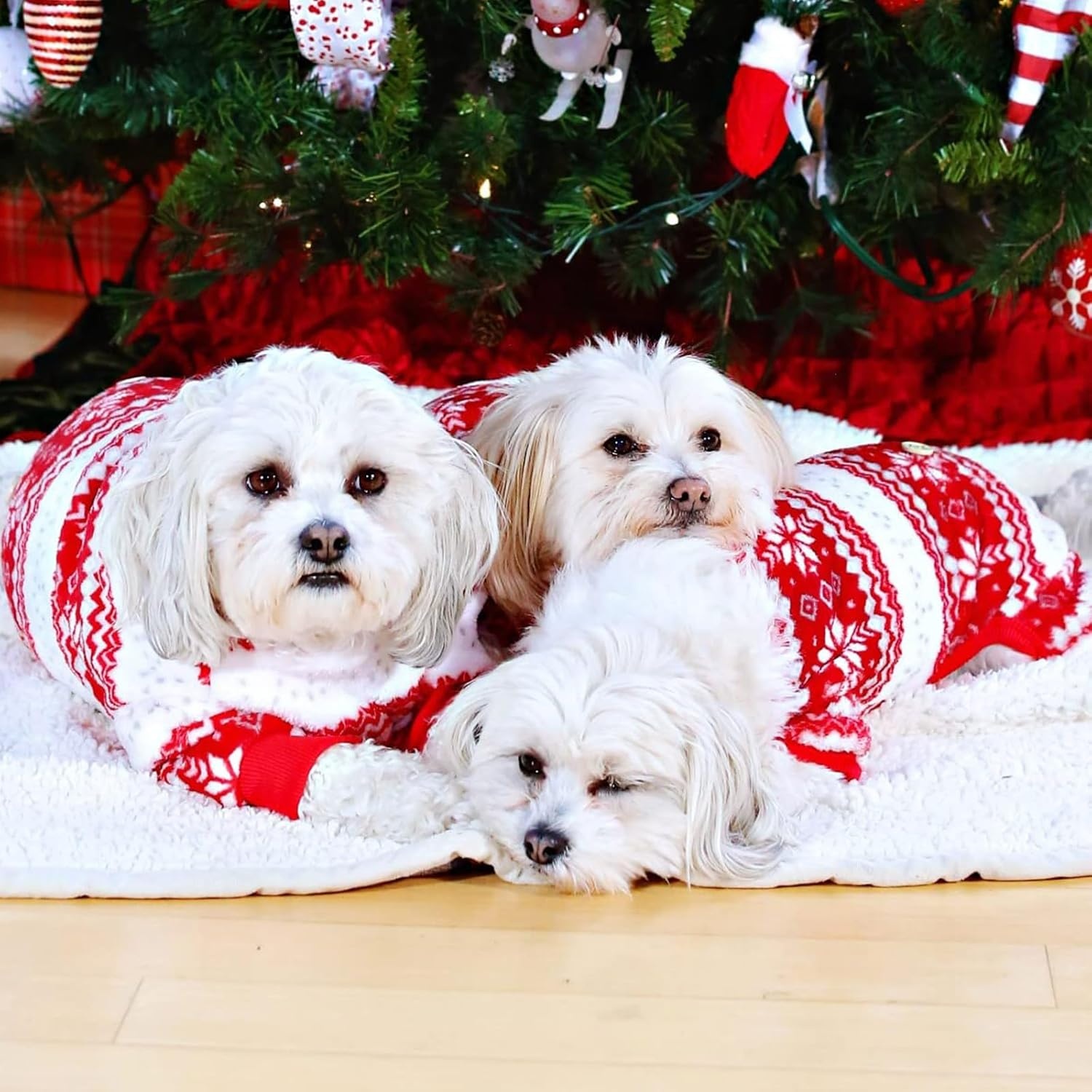 image:imageKYEESE Dog Christmas Pajamas Soft Fleece Holiday Dog Pajamas for Small Dogs Warm Winter Pet Onesie with Snowflake Pattern Lightweight Cozy Doggie Jumpsuit Pet Jumpsuit Large01 Snowflake