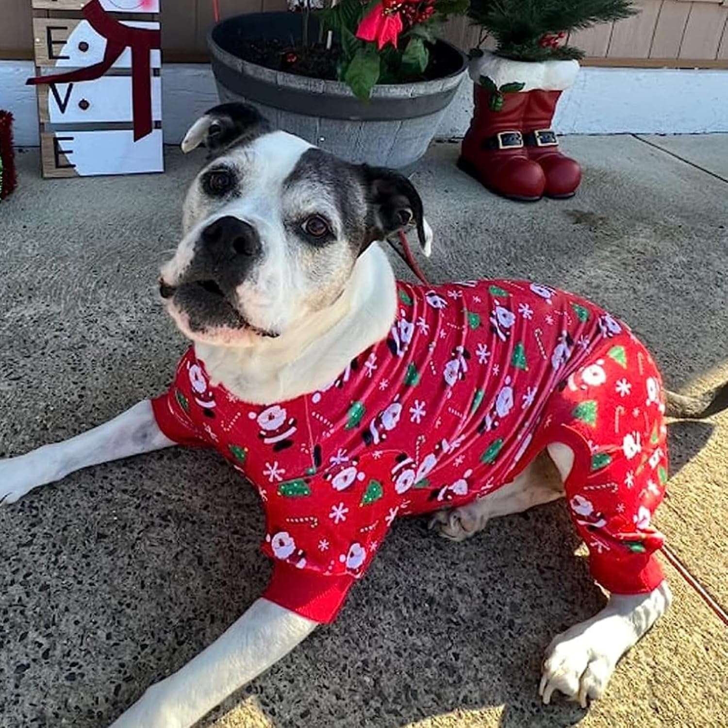 image:imageKYEESE Dog Christmas Pajamas Turtleneck Dog Pajamas for Small Dogs Soft Velvet Holiday Pet Onesie with 4 Legs Lightweight Onesie Cozy Warm Pet Sleepwear Cute Festive Doggie Outfit Medium02 Xmas