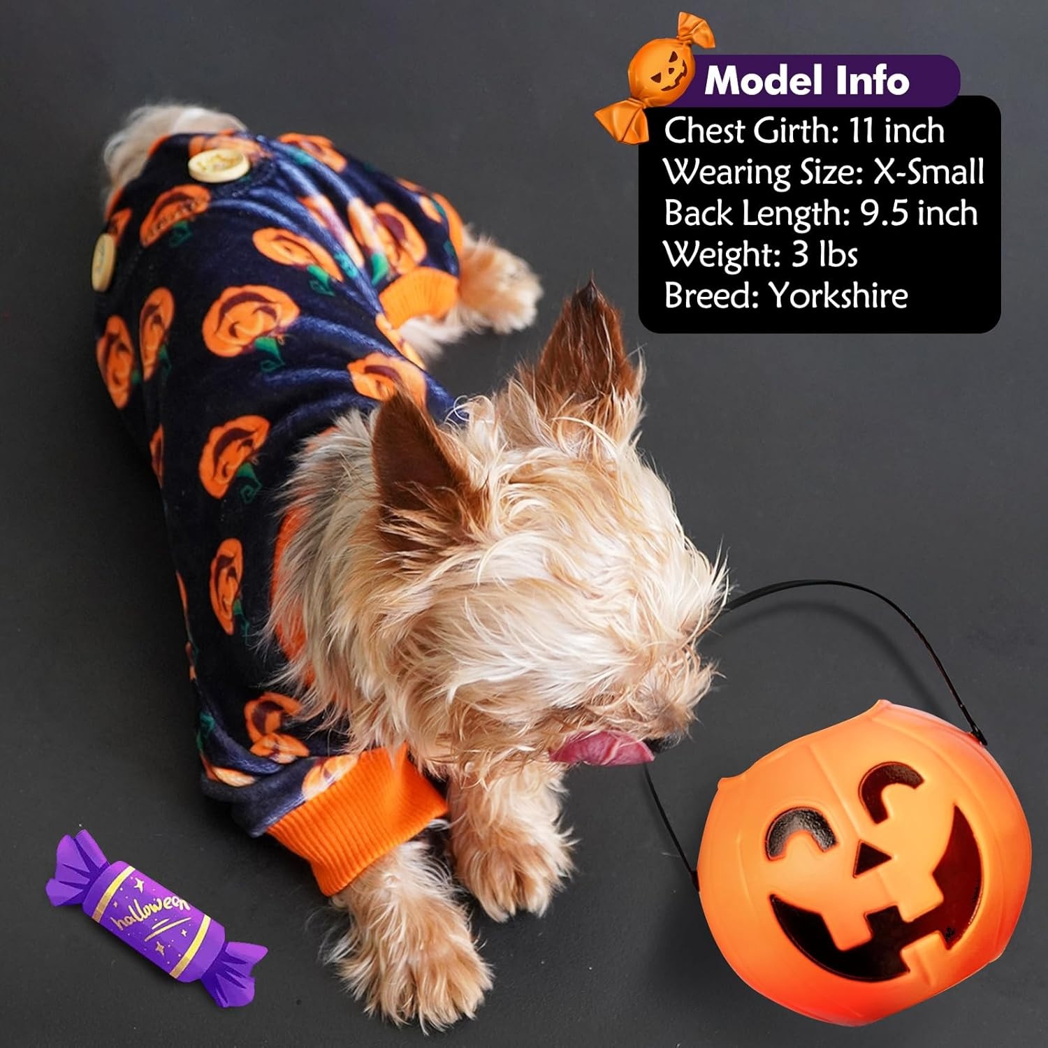 image:imageKYEESE Dog Christmas Pajamas Turtleneck Dog Pajamas for Small Dogs Soft Velvet Holiday Pet Onesie with 4 Legs Lightweight Onesie Cozy Warm Pet Sleepwear Cute Festive Doggie Outfit Medium08 Halloween