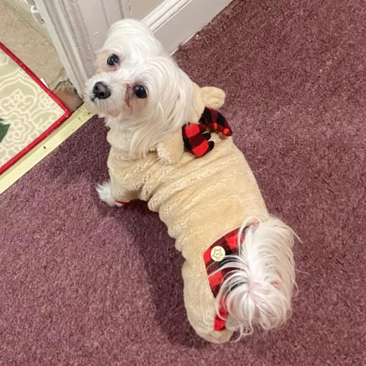 image:imageKYEESE Dog Christmas Pajamas with Reindeer Antler Hood Warm and Cozy Dog Pjs for Small Dogs Red Buffalo Check Holiday Pet Onesie Soft Winter Sleepwear Medium01 Christmas Reindeer