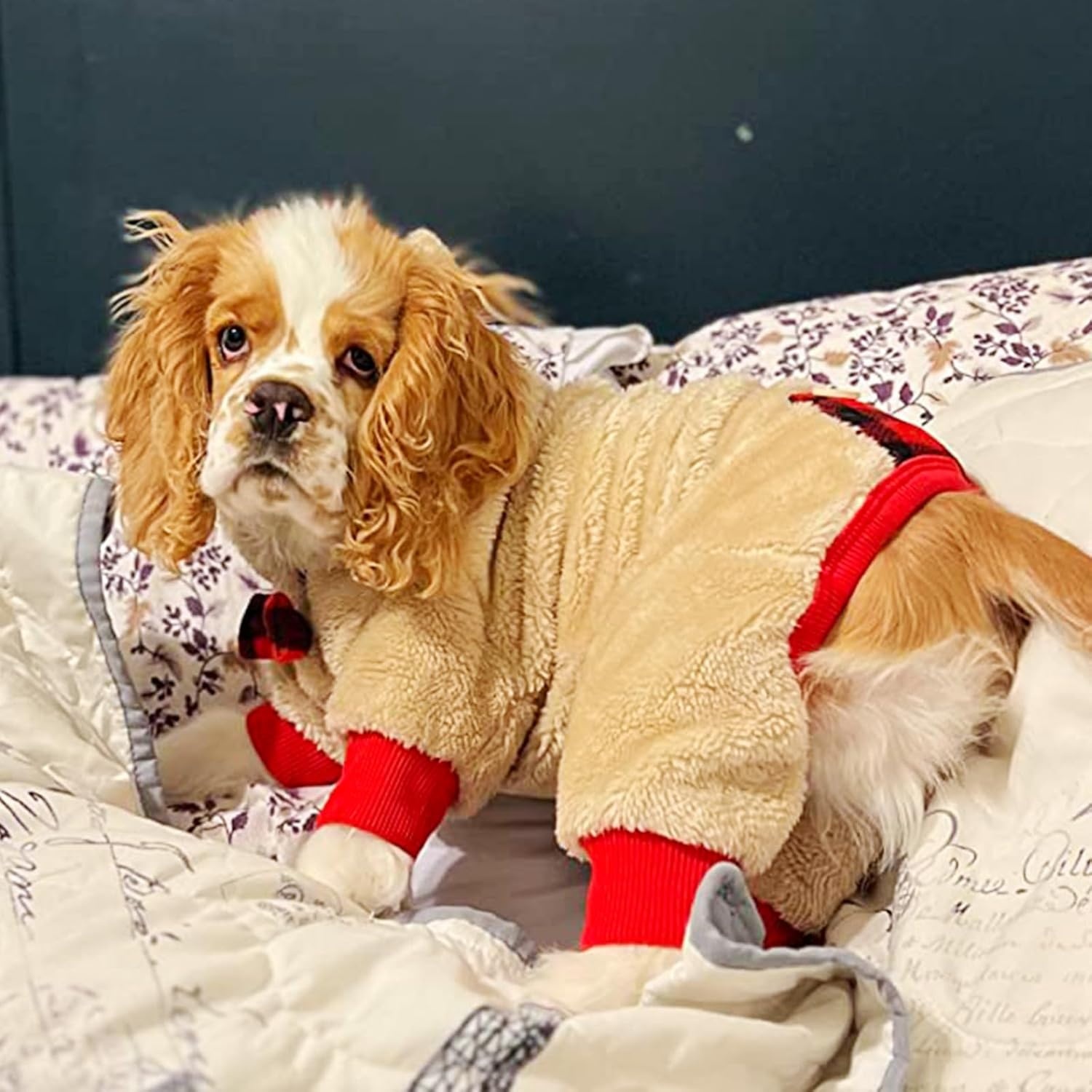 image:imageKYEESE Dog Christmas Pajamas with Reindeer Antler Hood Warm and Cozy Dog Pjs for Small Dogs Red Buffalo Check Holiday Pet Onesie Soft Winter Sleepwear Medium01 Christmas Reindeer