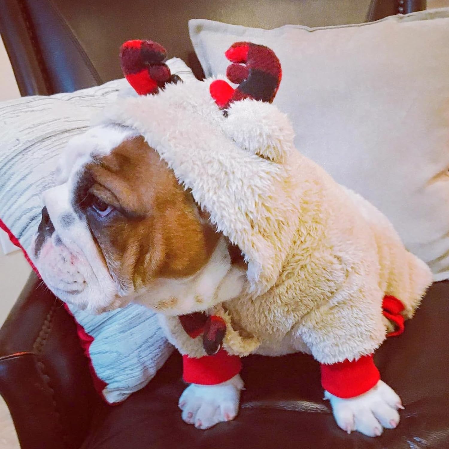 image:imageKYEESE Dog Christmas Pajamas with Reindeer Antler Hood Warm and Cozy Dog Pjs for Small Dogs Red Buffalo Check Holiday Pet Onesie Soft Winter Sleepwear Medium01 Christmas Reindeer