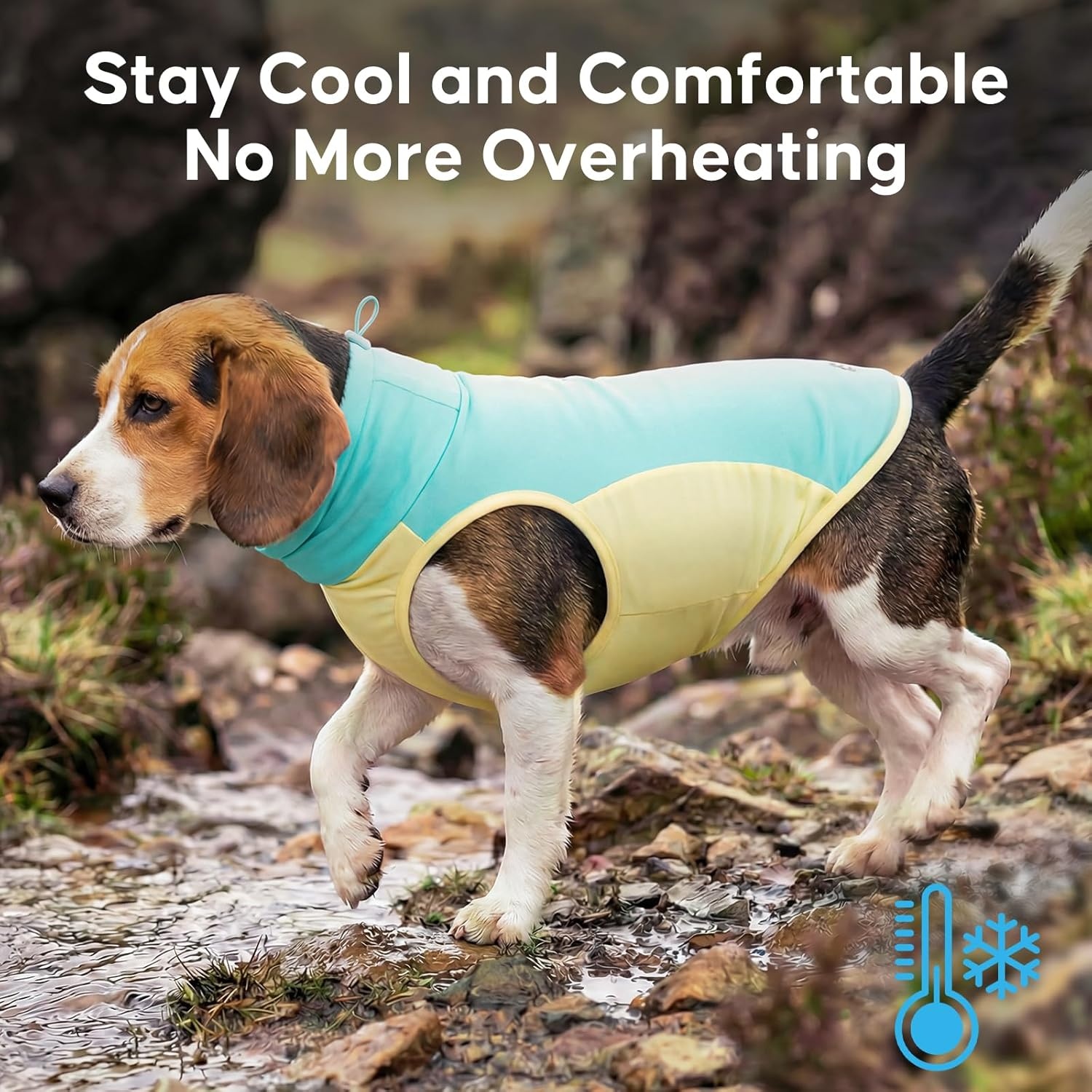 image:imageKYEESE Dog Cooling Vest Breathable Dog T Shirt for Small Dogs Girl Soft Sun Protection Reflective Tank Top with Cooling Insert Pad Lightweight Sleeveless Summer Dogs Clothes Pink LBlue