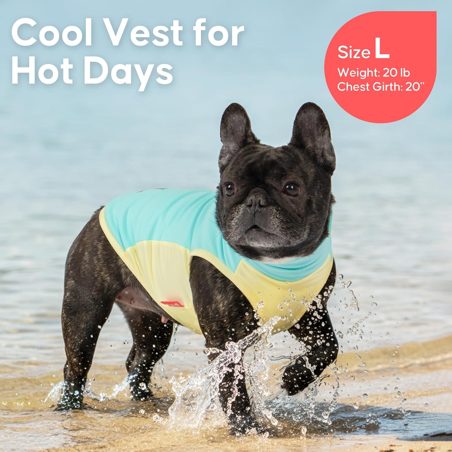 image:imageKYEESE Dog Cooling Vest Breathable Dog T Shirt for Small Dogs Girl Soft Sun Protection Reflective Tank Top with Cooling Insert Pad Lightweight Sleeveless Summer Dogs Clothes Pink LBlue