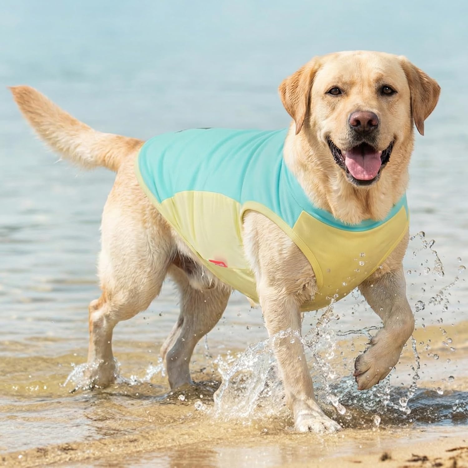 image:imageKYEESE Dog Cooling Vest Breathable Dog T Shirt for Small Dogs Girl Soft Sun Protection Reflective Tank Top with Cooling Insert Pad Lightweight Sleeveless Summer Dogs Clothes Pink LBlue