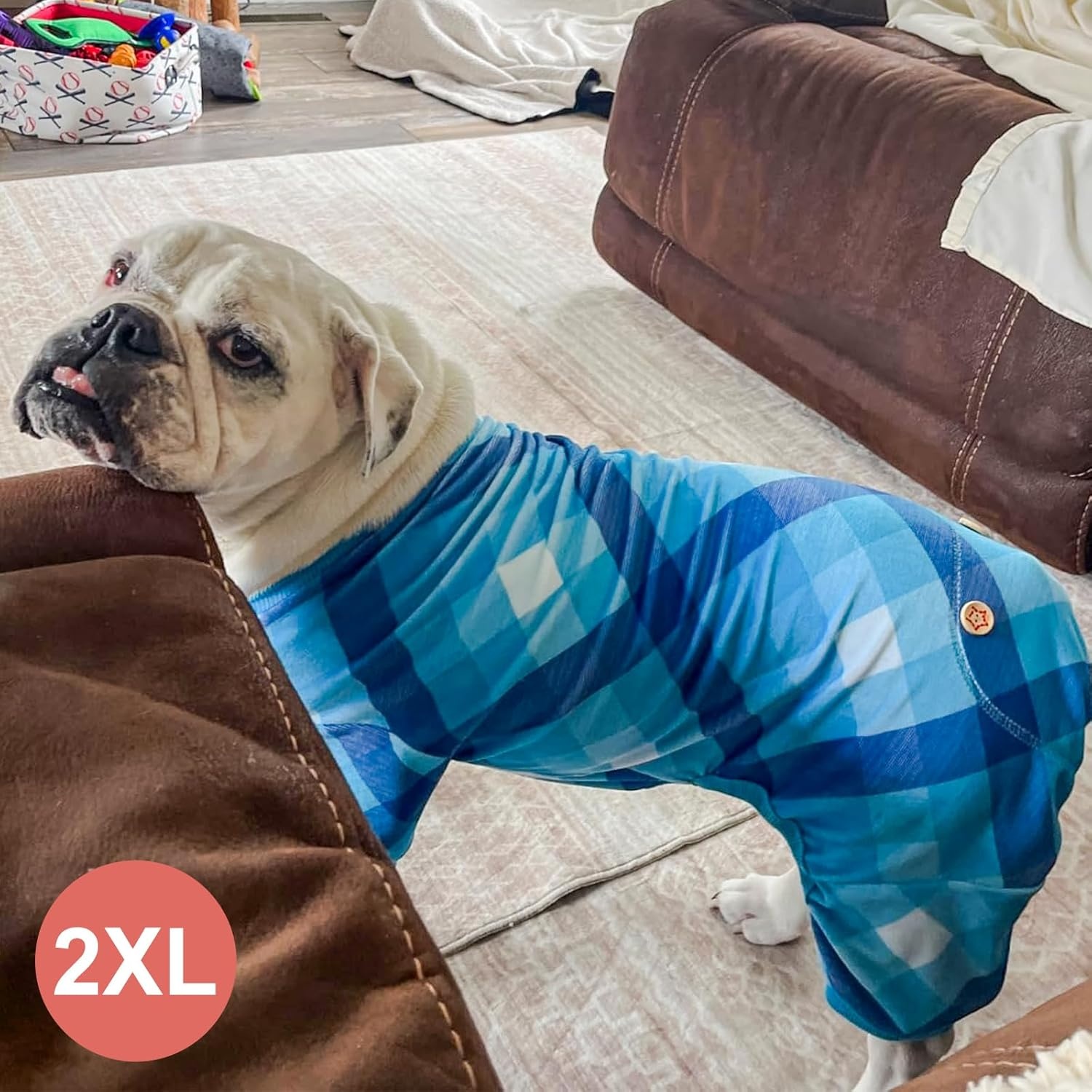 image:imageKYEESE Dog Pajamas Soft Dog Pajamas for Small Dogs Comfy Pet Costume Warm 4 Legs Pet Jammies Velvet Pets Onesie Stretchy Dogs Clothes Red Buffalo Check Pet PjsMGrey