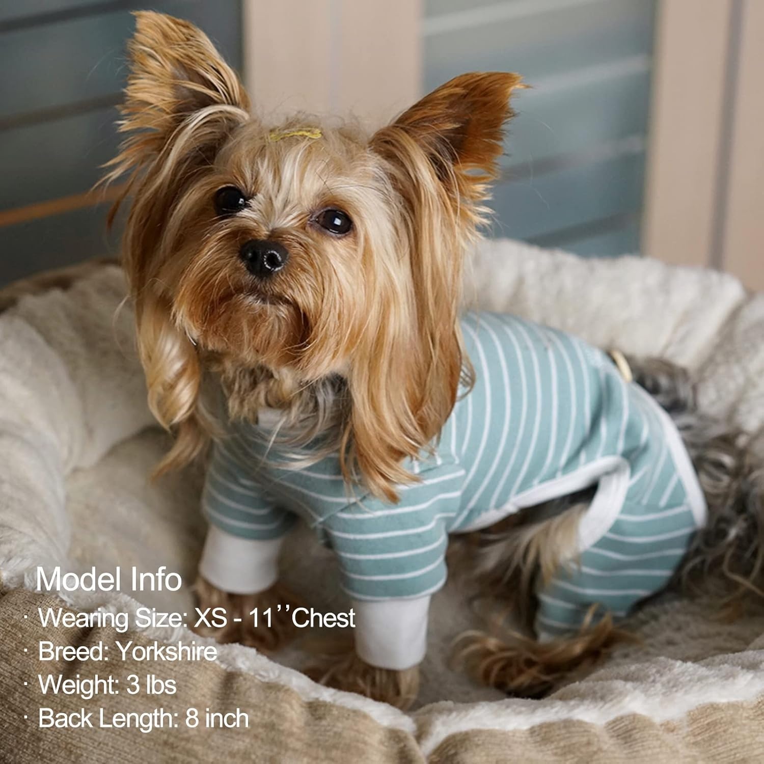 image:imageKYEESE Dog Pajamas Stretchable 4 Legs Doggie Jammies Striped Jumpsuit Lightweight Onesie Puppy Pajamas Cozy Outfit Comfortable Dog Clothes Hair Shedding Cover Pet Sleepwear Green Striped Medium01 Green Stripe