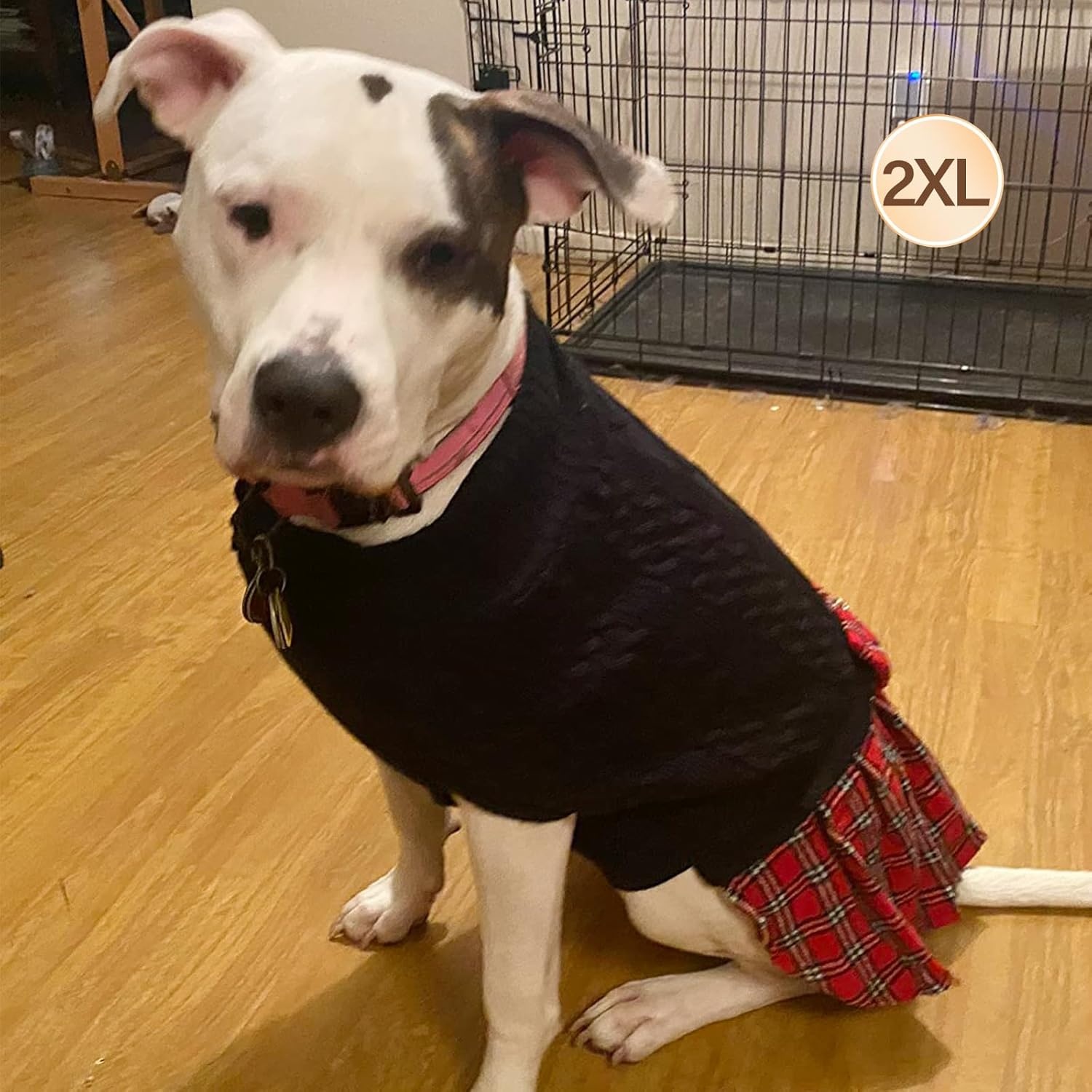 image:imageKYEESE Dog Sweater Thick Dog Sweaters for Small Dogs Male Stretchy Knitwear Pet Sweater Dress Warm Pullover Pet Coats Comfy Dogs Clothes with Bowtie Soft Turtleneck Cat Sweaters Green Medium05 Black