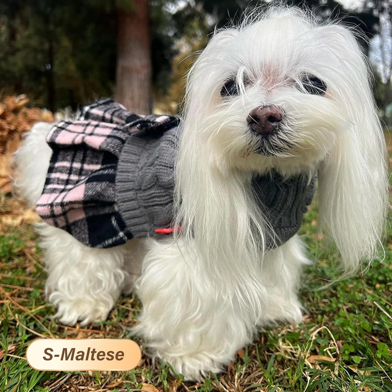 image:imageKYEESE Dog Sweater Thick Dog Sweaters for Small Dogs Male Stretchy Knitwear Pet Sweater Dress Warm Pullover Pet Coats Comfy Dogs Clothes with Bowtie Soft Turtleneck Cat Sweaters Green Medium04 Grey