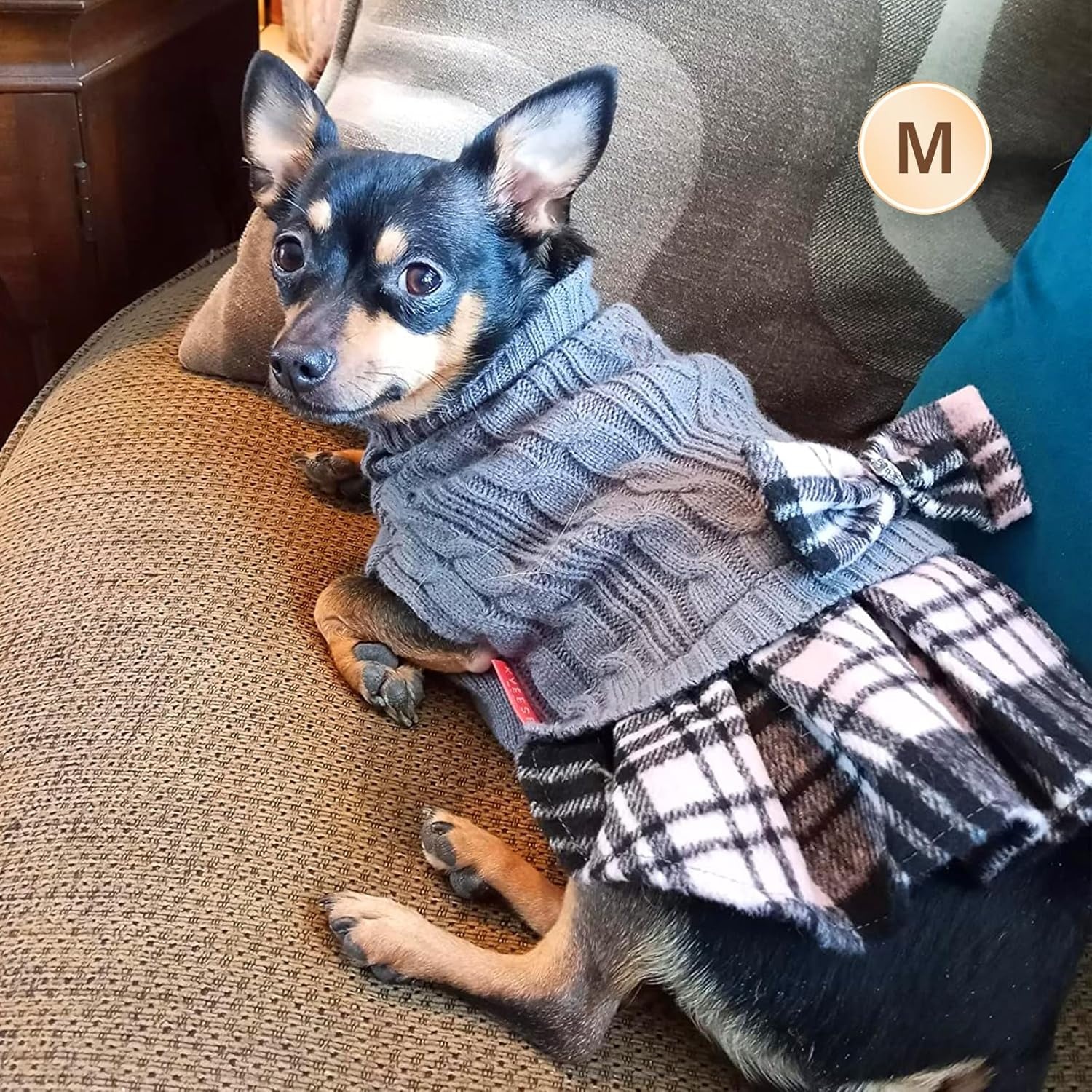image:imageKYEESE Dog Sweater Thick Dog Sweaters for Small Dogs Male Stretchy Knitwear Pet Sweater Dress Warm Pullover Pet Coats Comfy Dogs Clothes with Bowtie Soft Turtleneck Cat Sweaters Green Medium04 Grey