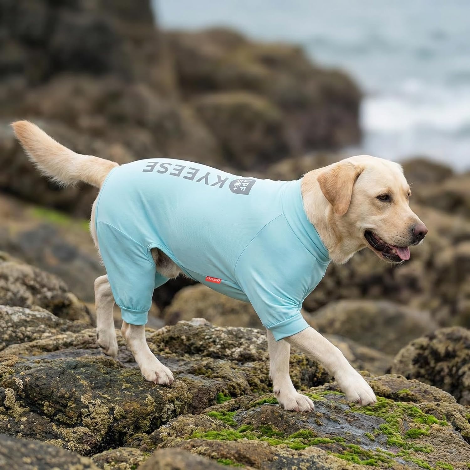 image:imageKYEESE UV Protection Dog Shirt UPF 50 Cooling Summer Jumpsuit for Small Dogs Breathable Reflective Shedding Control Dog Sun Shirts QuickDry Dogs Onesie Pet Clothes Blue LBlue
