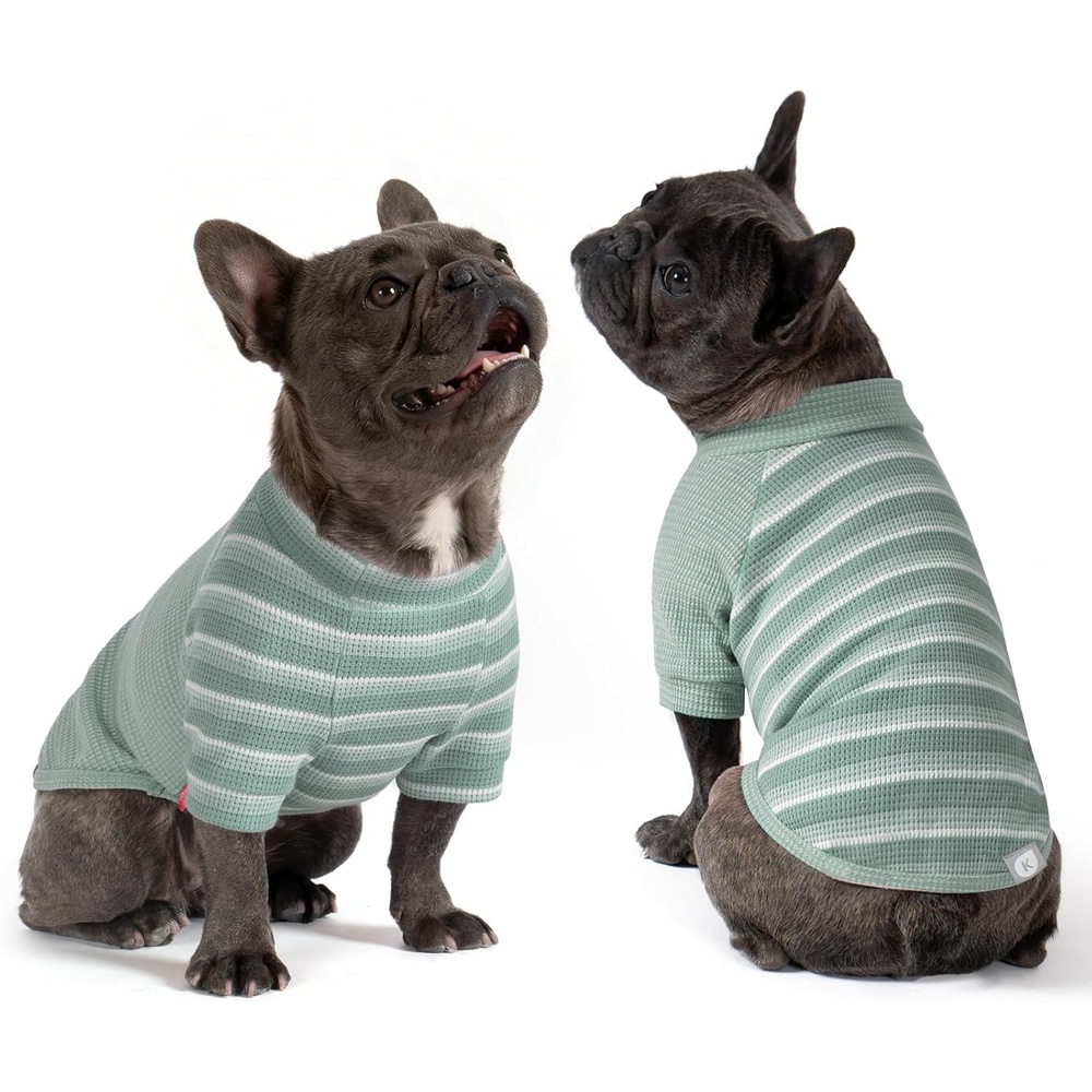 image:imageKYEESE 2Pack Waffle Dog Shirt with Sleeves Lightweight Dog T Shirts for Small Dogs Boy Girl Breathable Pet Tee Shirts Soft Dogs Clothes for Daily Wear GreenStriped M02 GreenStriped