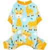 05# Giraffe
