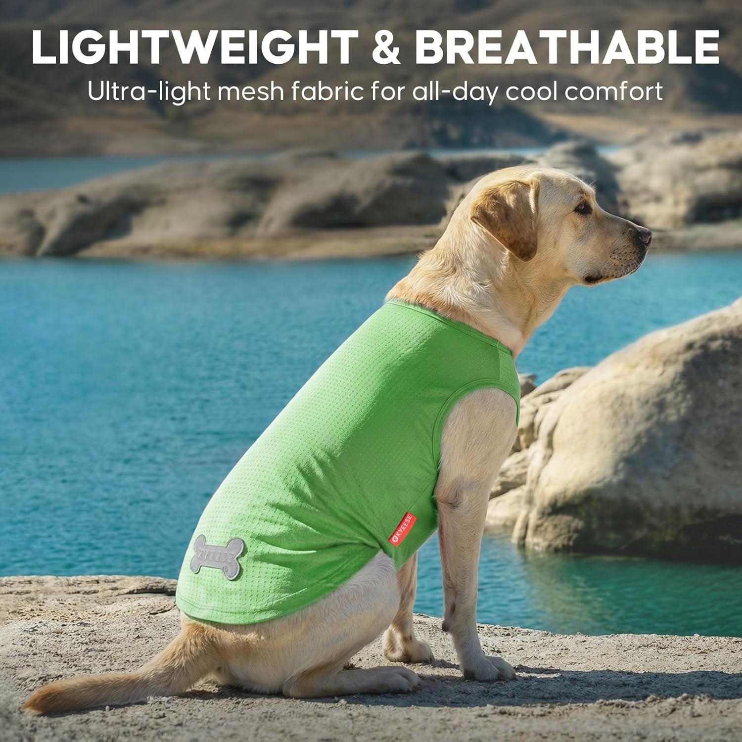 image:imageKYEESE 2Pack Dog Shirt Lightweight Sun Protection Dog T Shirts for Small Dogs Girl Breathable Mesh Tank Top Sleeveless Pet Reflective Vest Soft Summer Dogs Clothes LemonPink M2 2Pack HawaiiGreen