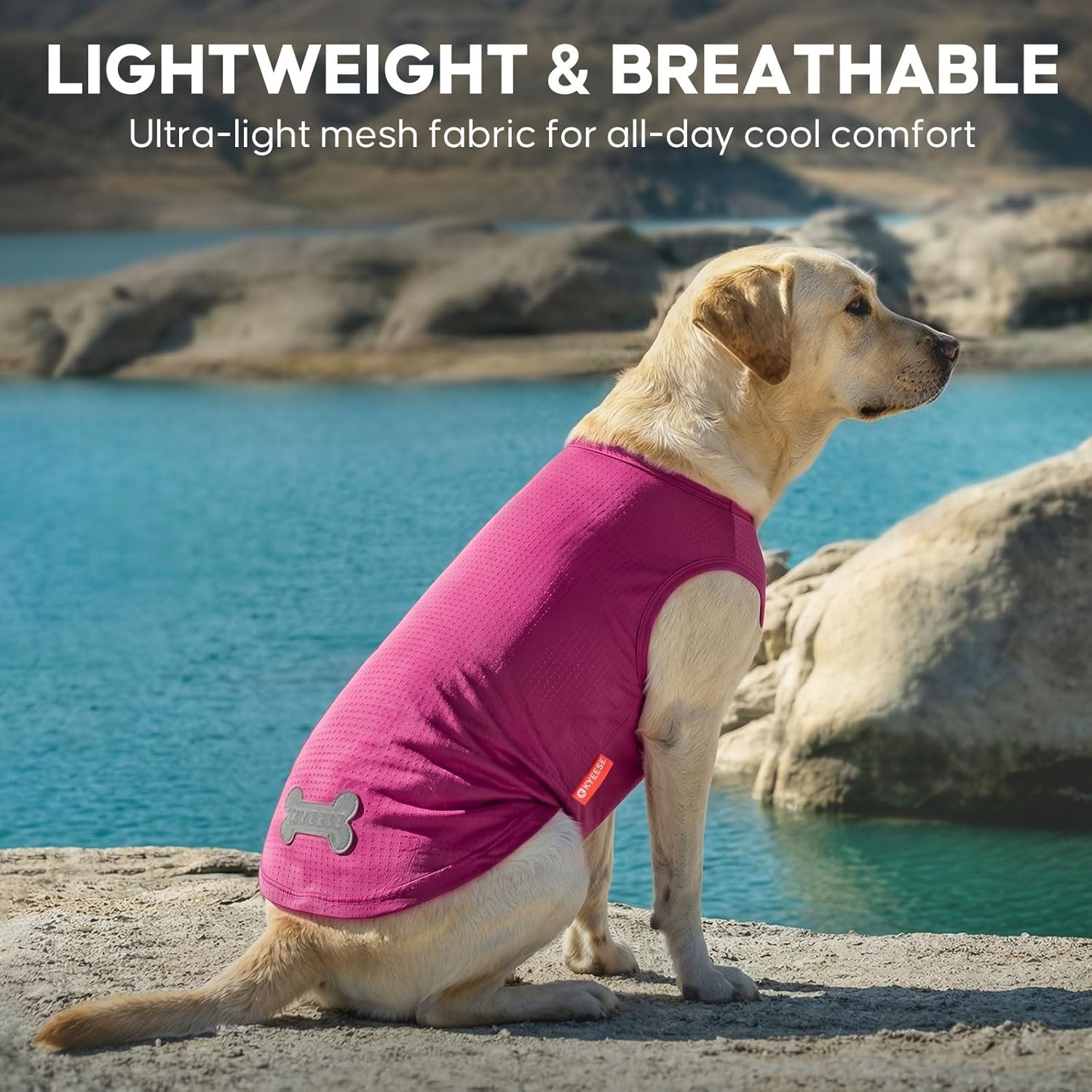 image:imageKYEESE 2Pack Dog Shirt Lightweight Sun Protection Dog T Shirts for Small Dogs Girl Breathable Mesh Tank Top Sleeveless Pet Reflective Vest Soft Summer Dogs Clothes LemonPink M5 2Pack Strawberryrose