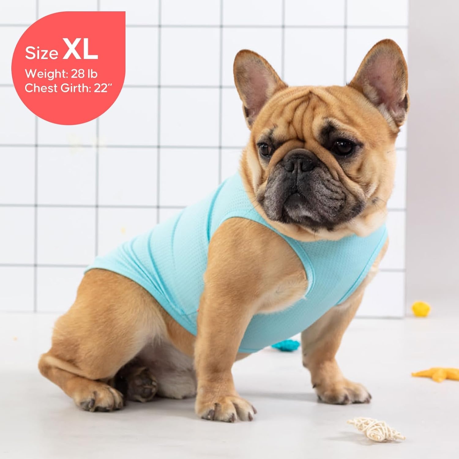 image:imageKYEESE 2Pack Dog Shirt Lightweight Sun Protection Dog T Shirts for Small Dogs Girl Breathable Mesh Tank Top Sleeveless Pet Reflective Vest Soft Summer Dogs Clothes LemonPink M1 2Pack Flamingoblue