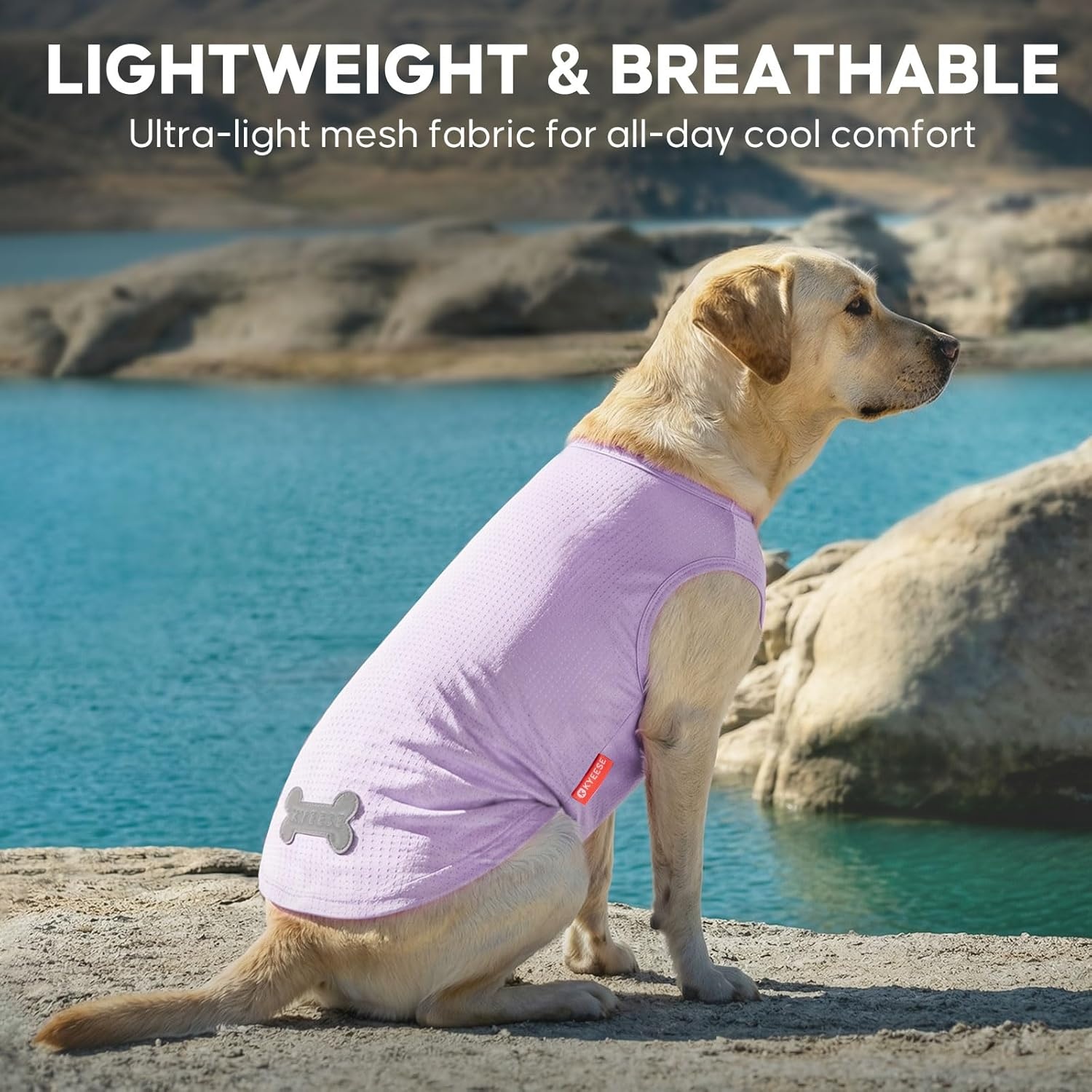 image:imageKYEESE 2Pack Dog Shirt Lightweight Sun Protection Dog T Shirts for Small Dogs Girl Breathable Mesh Tank Top Sleeveless Pet Reflective Vest Soft Summer Dogs Clothes LemonPink M3 2Pack DinosaurPurple