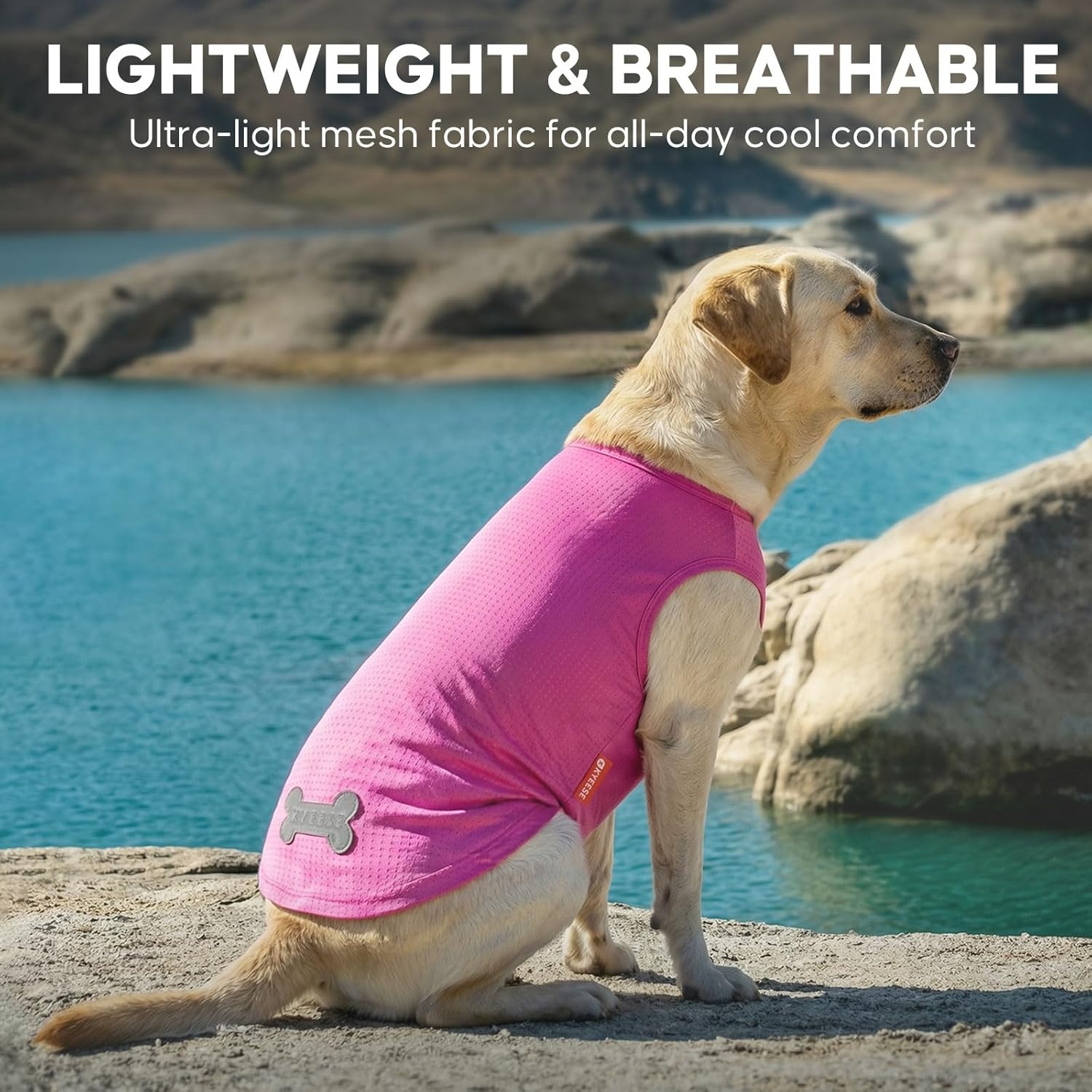 image:imageKYEESE 2Pack Dog Shirt Lightweight Sun Protection Dog T Shirts for Small Dogs Girl Breathable Mesh Tank Top Sleeveless Pet Reflective Vest Soft Summer Dogs Clothes LemonPink M6 2Pack Ice PopPink