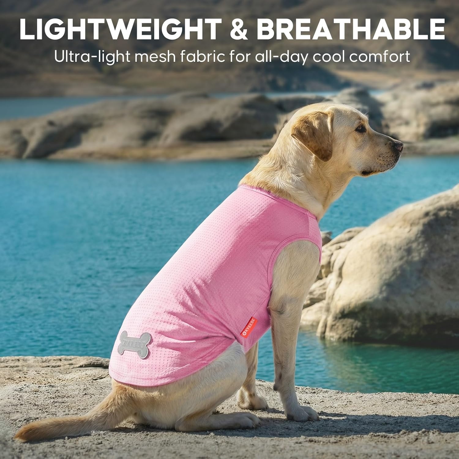 image:imageKYEESE 2Pack Dog Shirt Lightweight Sun Protection Dog T Shirts for Small Dogs Girl Breathable Mesh Tank Top Sleeveless Pet Reflective Vest Soft Summer Dogs Clothes LemonPink M4 2Pack LemonPink