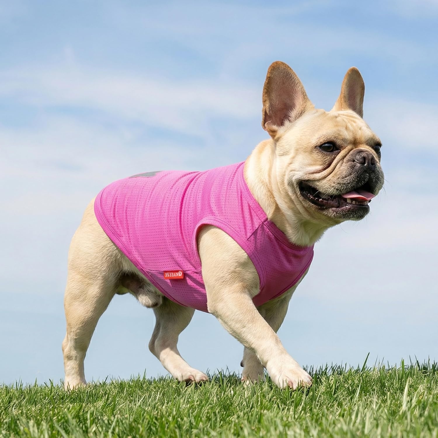 image:imageKYEESE 2Pack Dog Shirt Lightweight Sun Protection Dog T Shirts for Small Dogs Girl Breathable Mesh Tank Top Sleeveless Pet Reflective Vest Soft Summer Dogs Clothes LemonPink M6 2Pack Ice PopPink